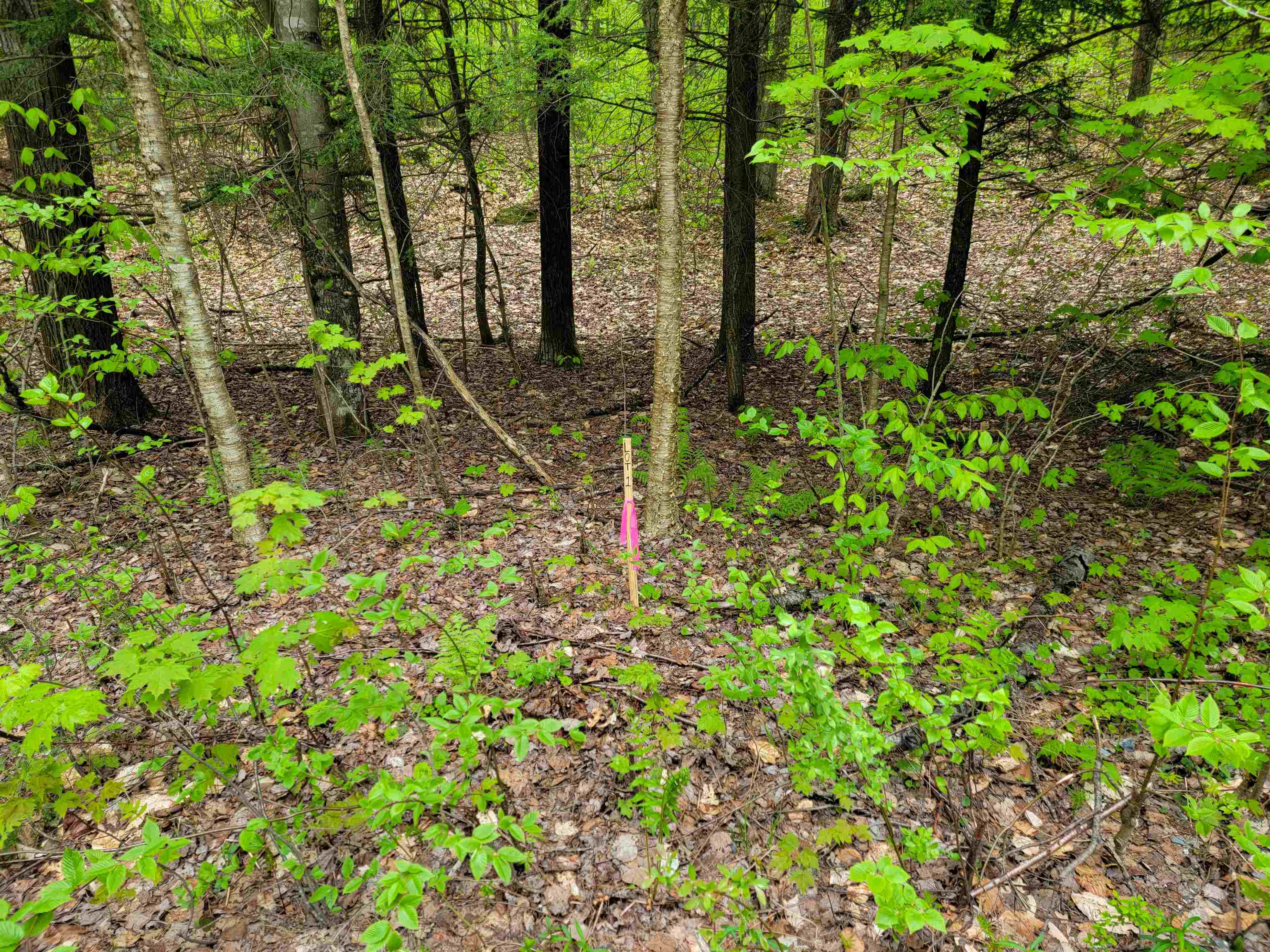 660 Brookview Lane Property Photo 7
