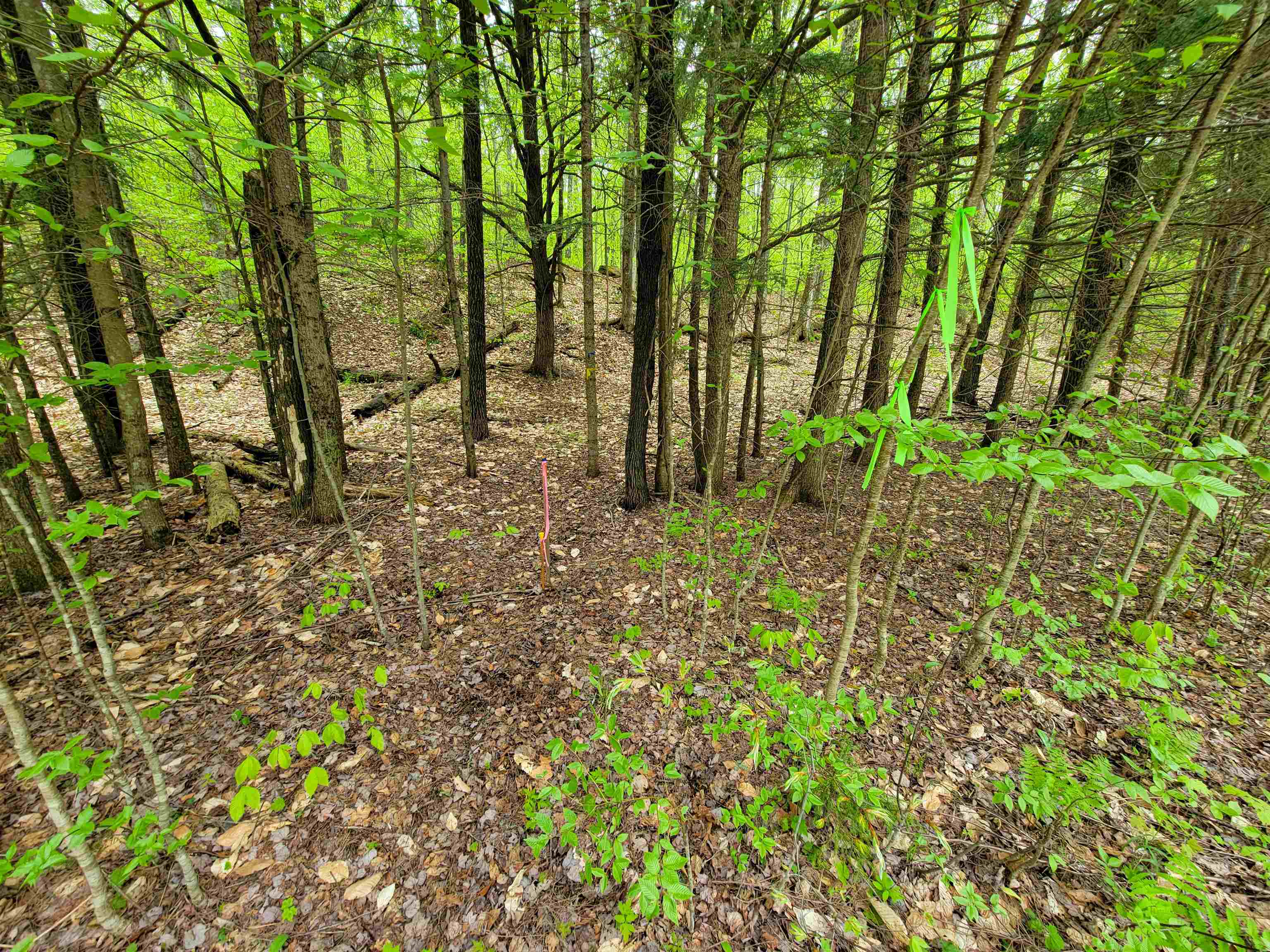 660 Brookview Lane Property Photo 11