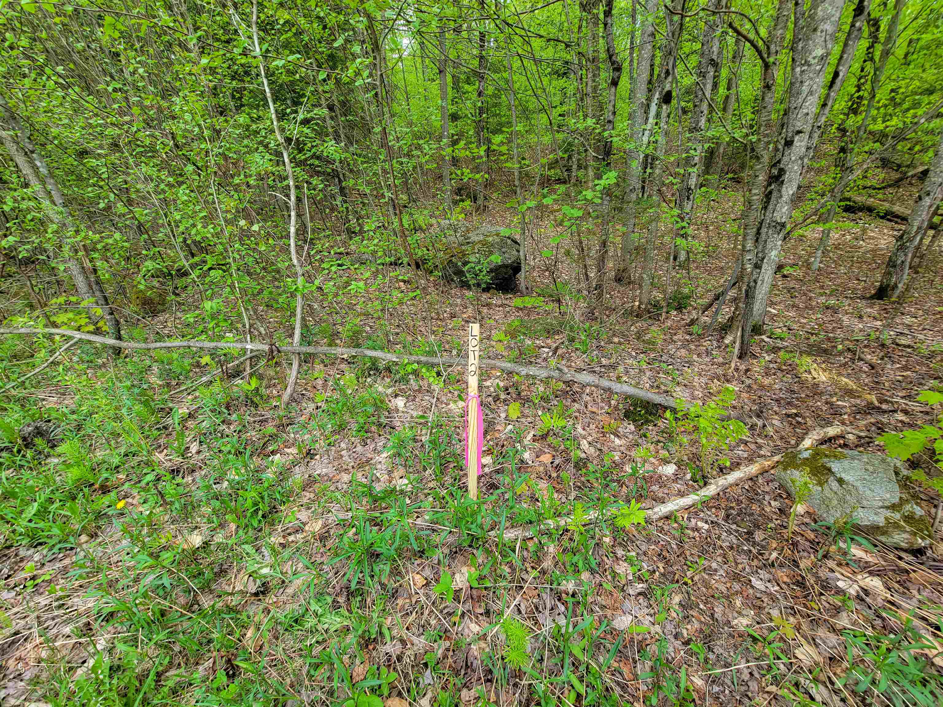 660 Brookview Lane Property Photo 15