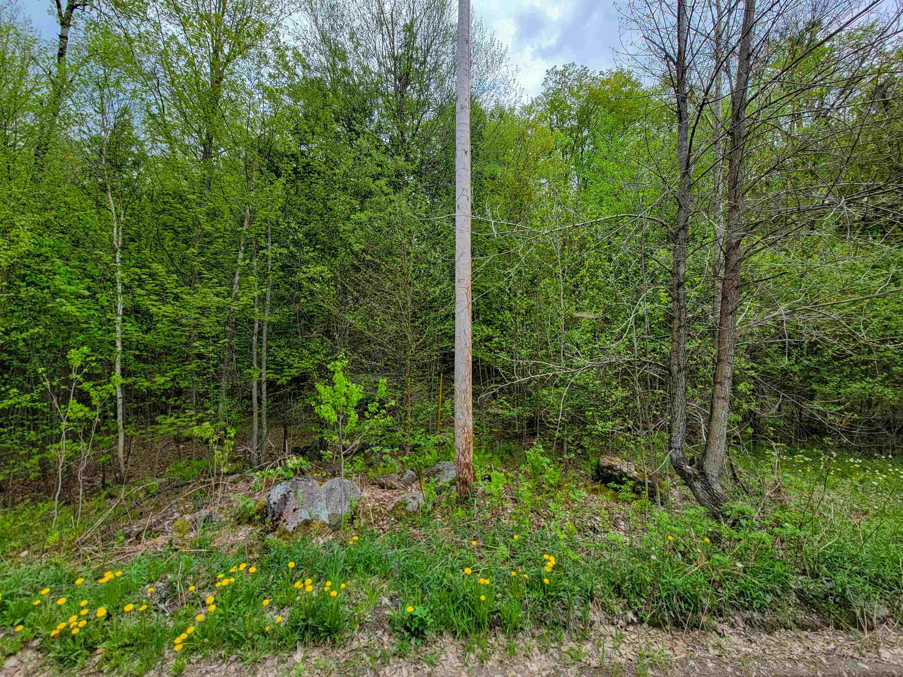 660 Brookview Lane Property Photo 18