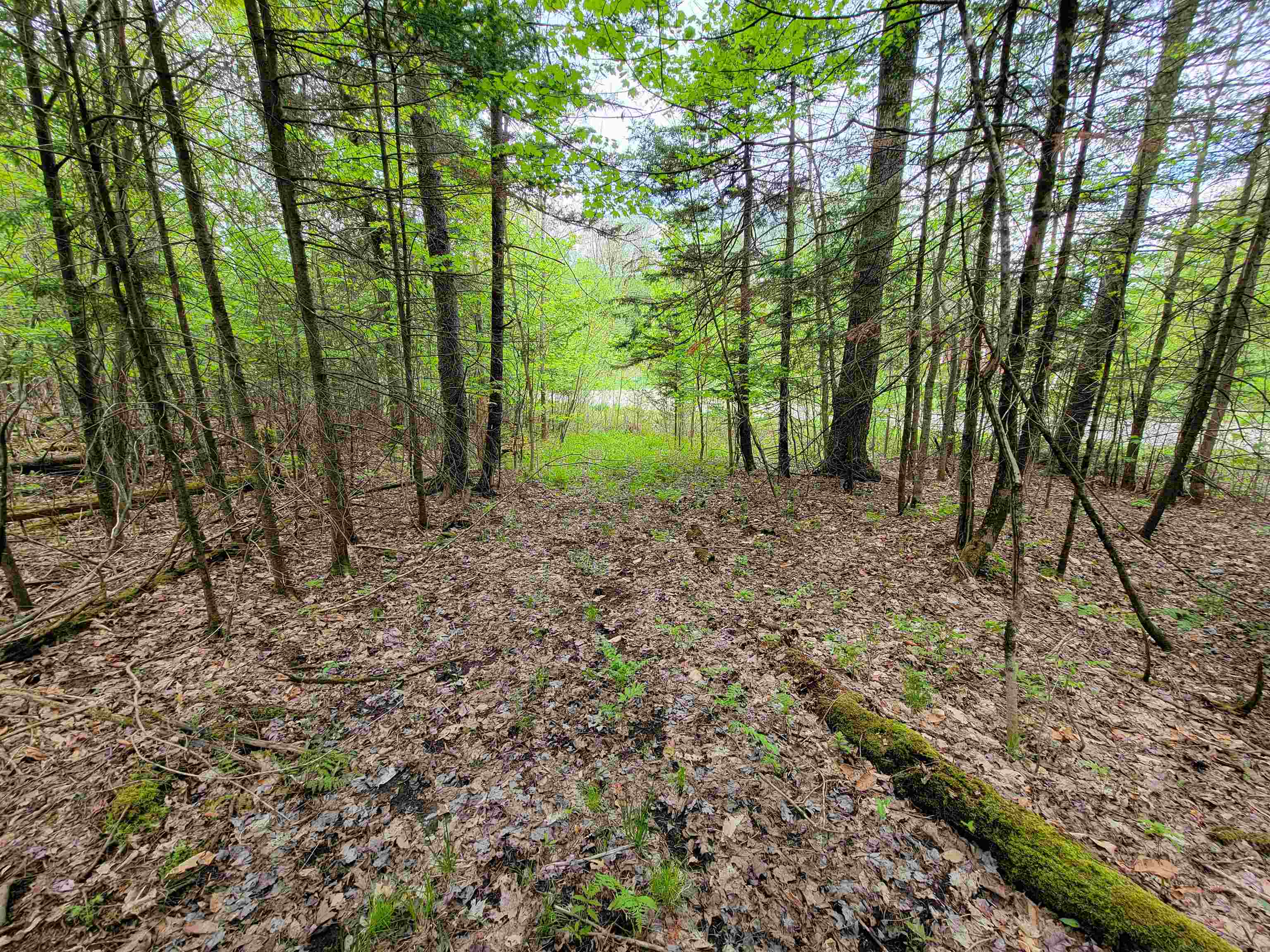 660 Brookview Lane Property Photo 36
