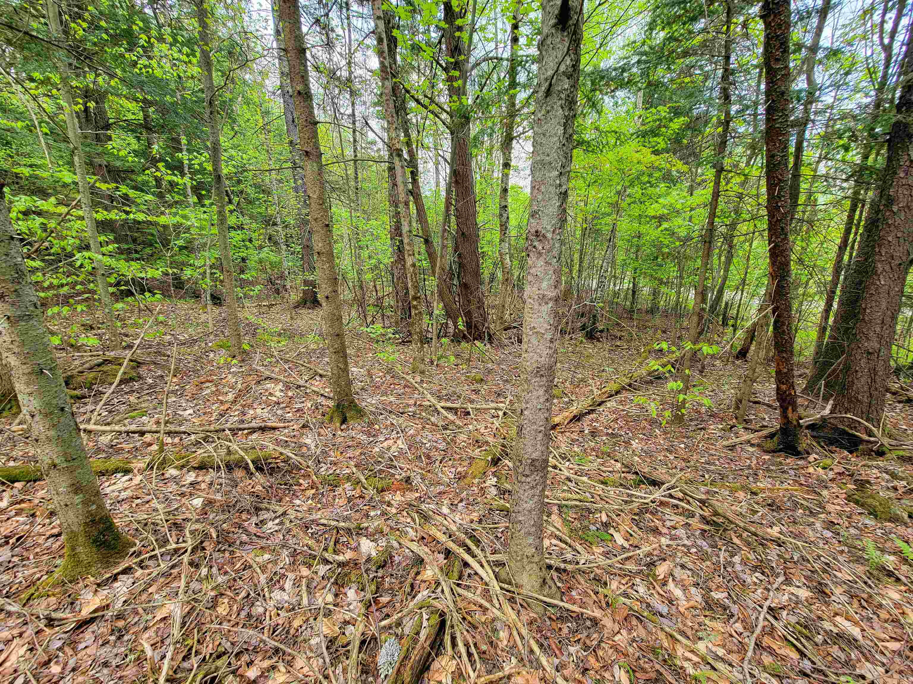 660 Brookview Lane Property Photo 37
