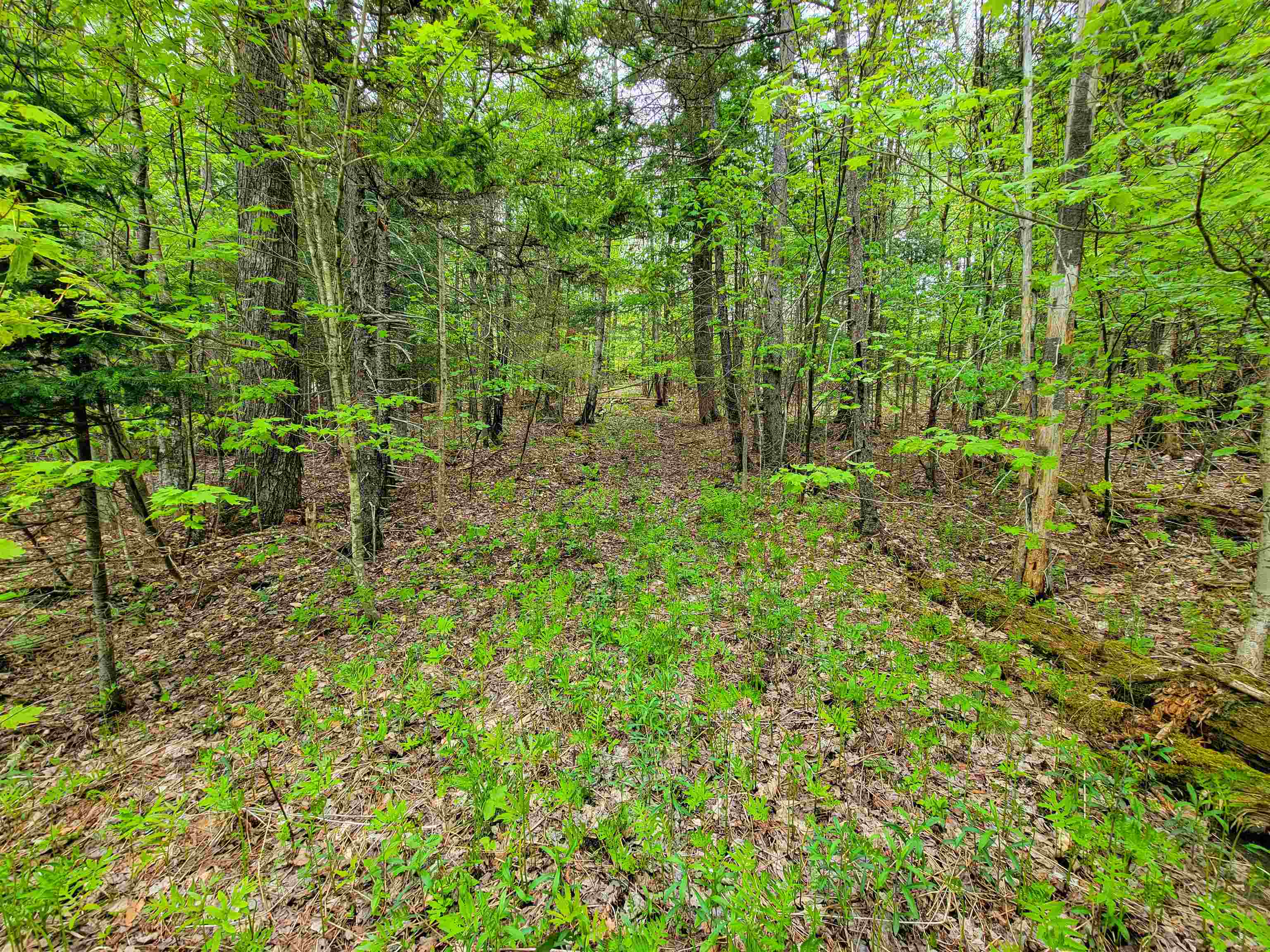 660 Brookview Lane Property Photo 38