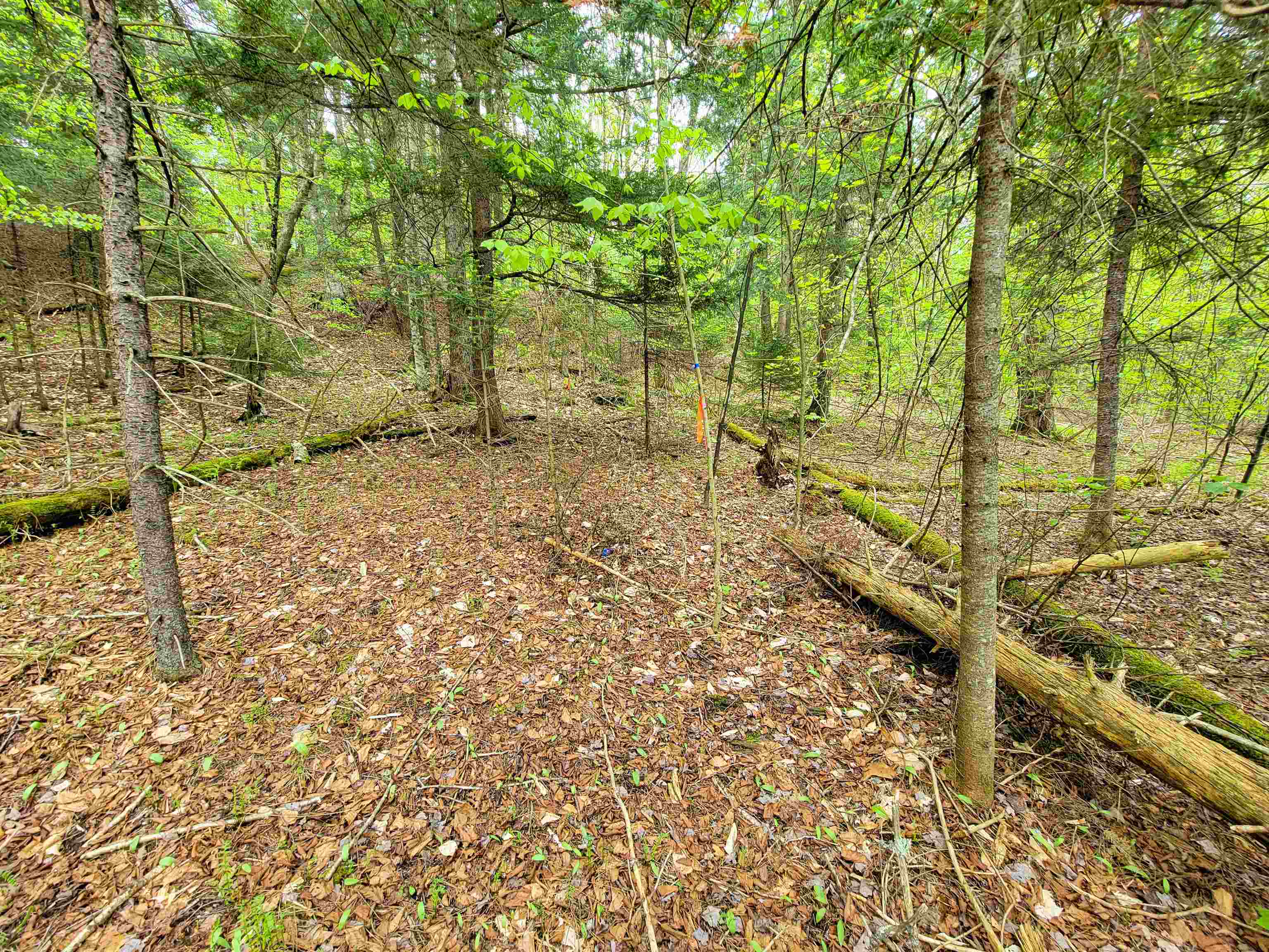 660 Brookview Lane Property Photo 39