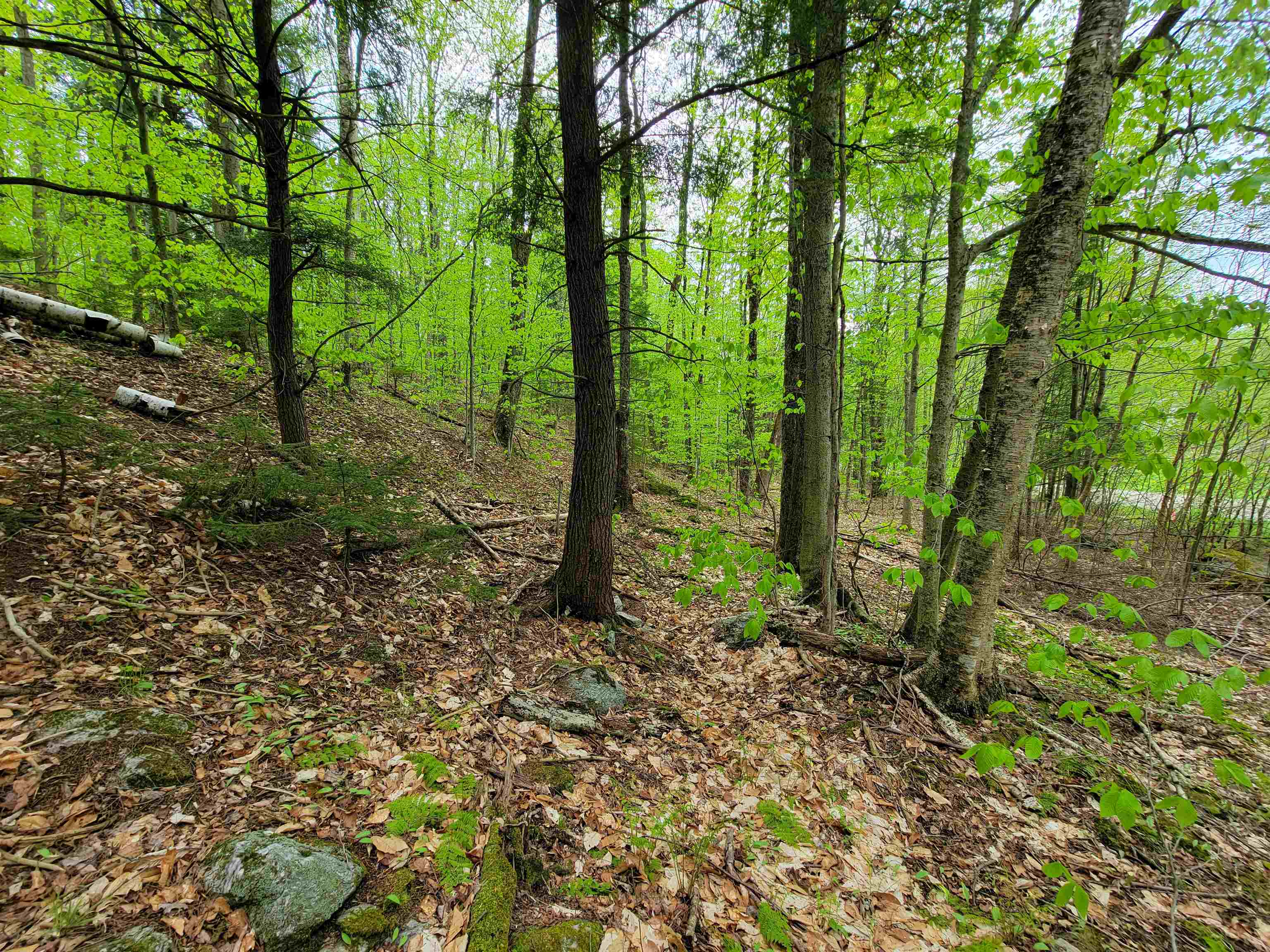 660 Brookview Lane Property Photo 41