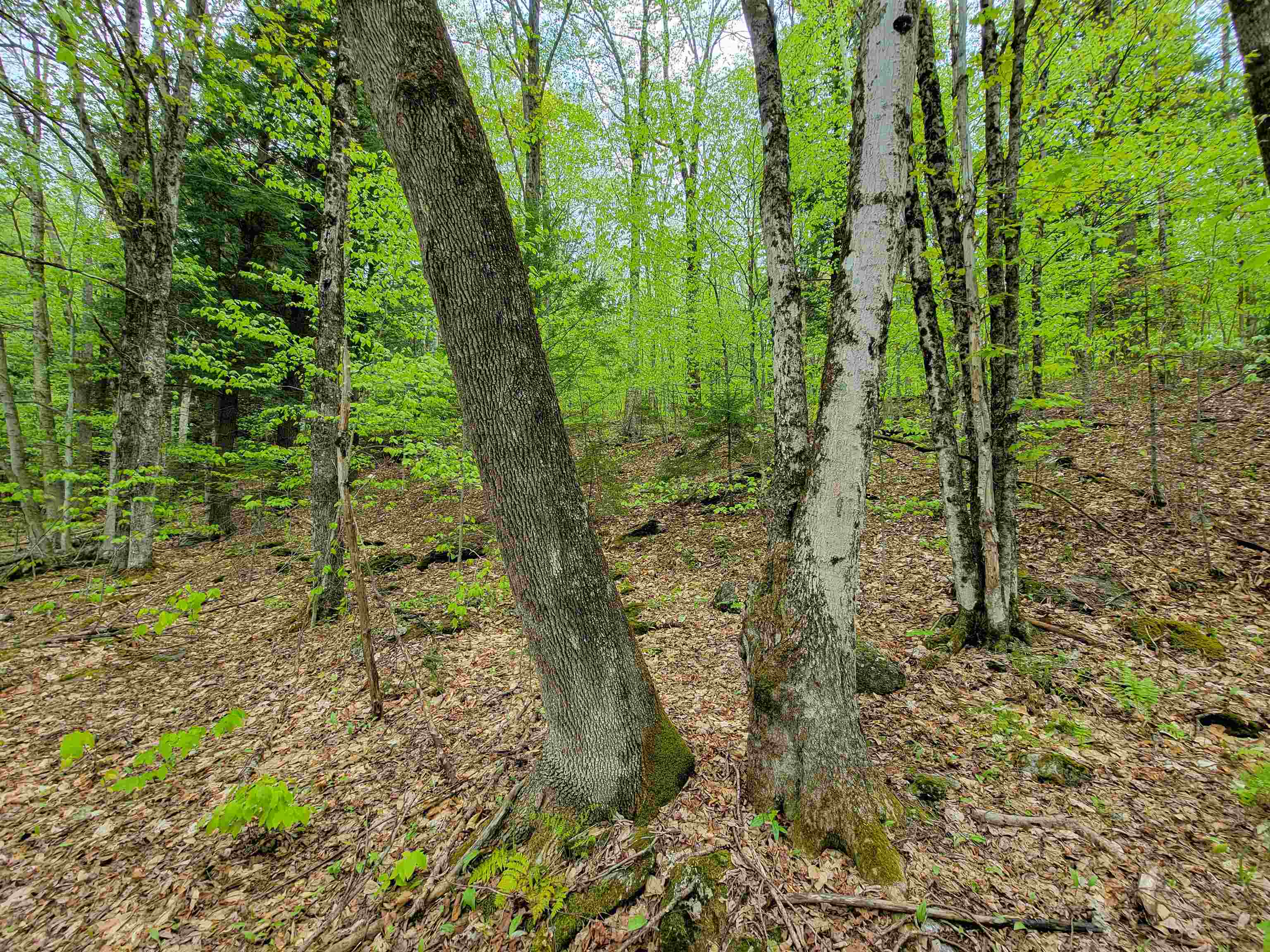 660 Brookview Lane Property Photo 42