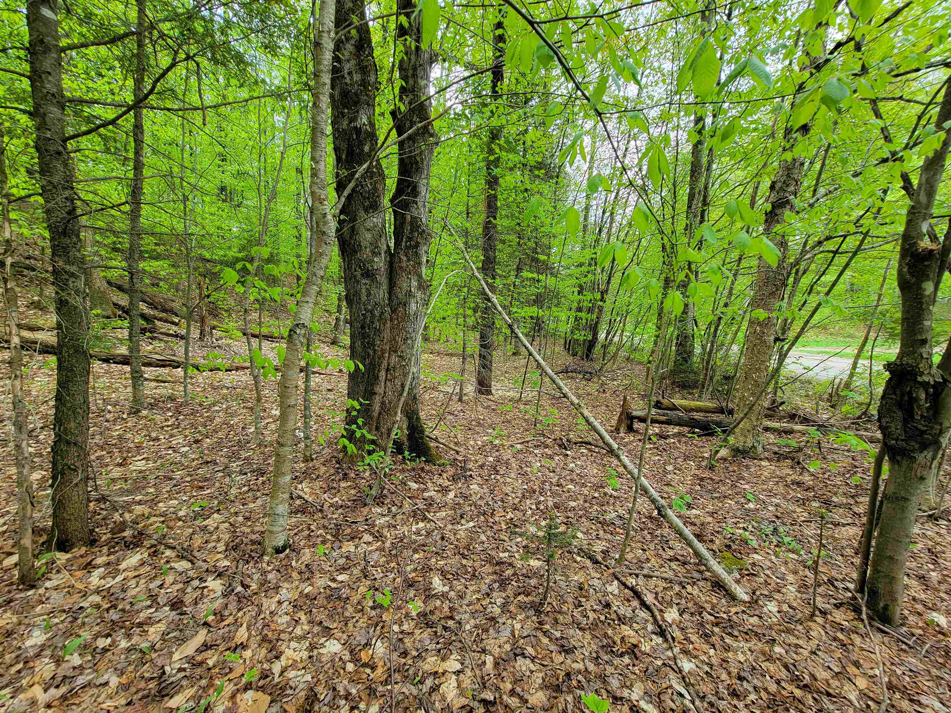 660 Brookview Lane Property Photo 44