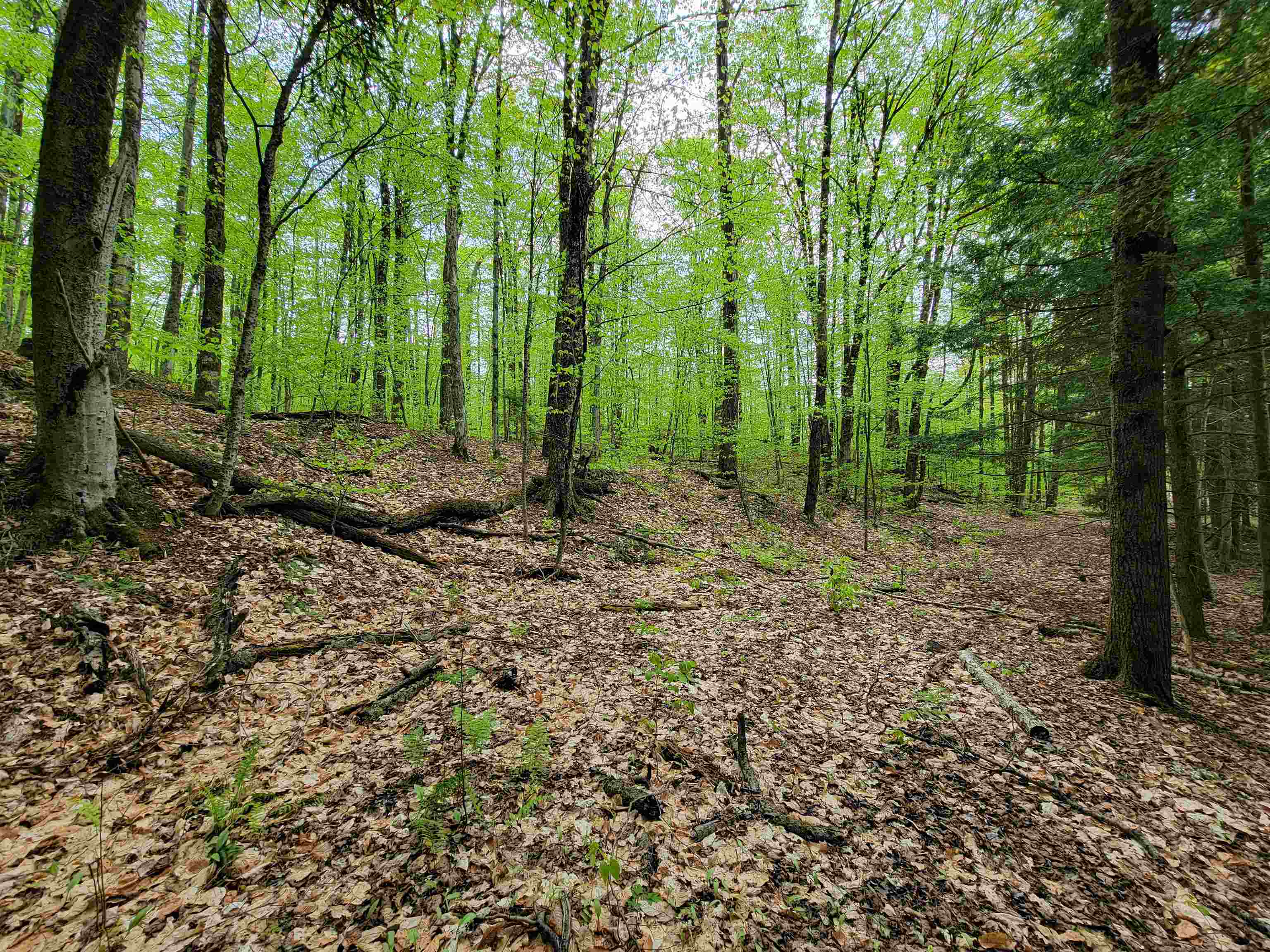 660 Brookview Lane Property Photo 45