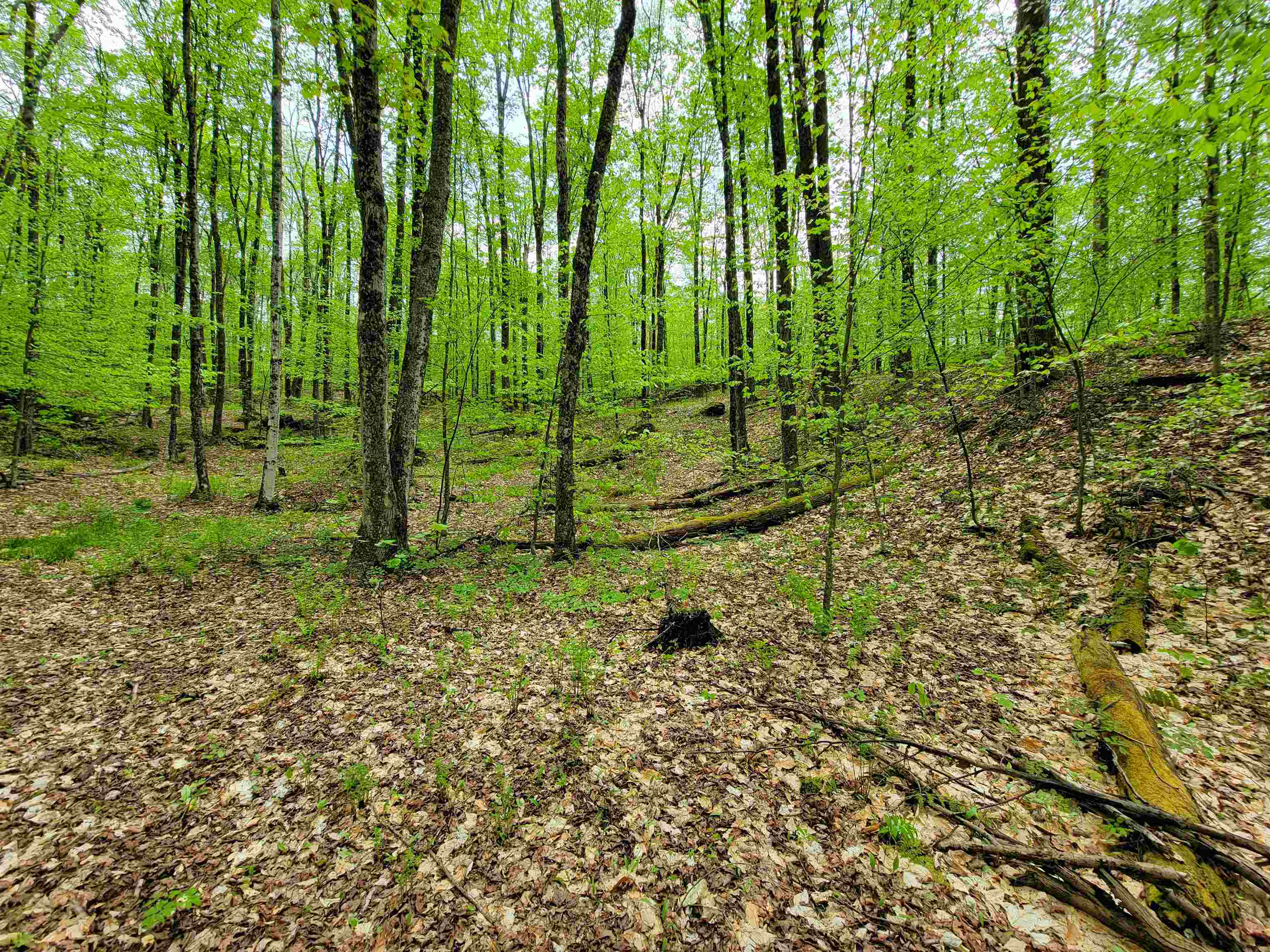 660 Brookview Lane Property Photo 47