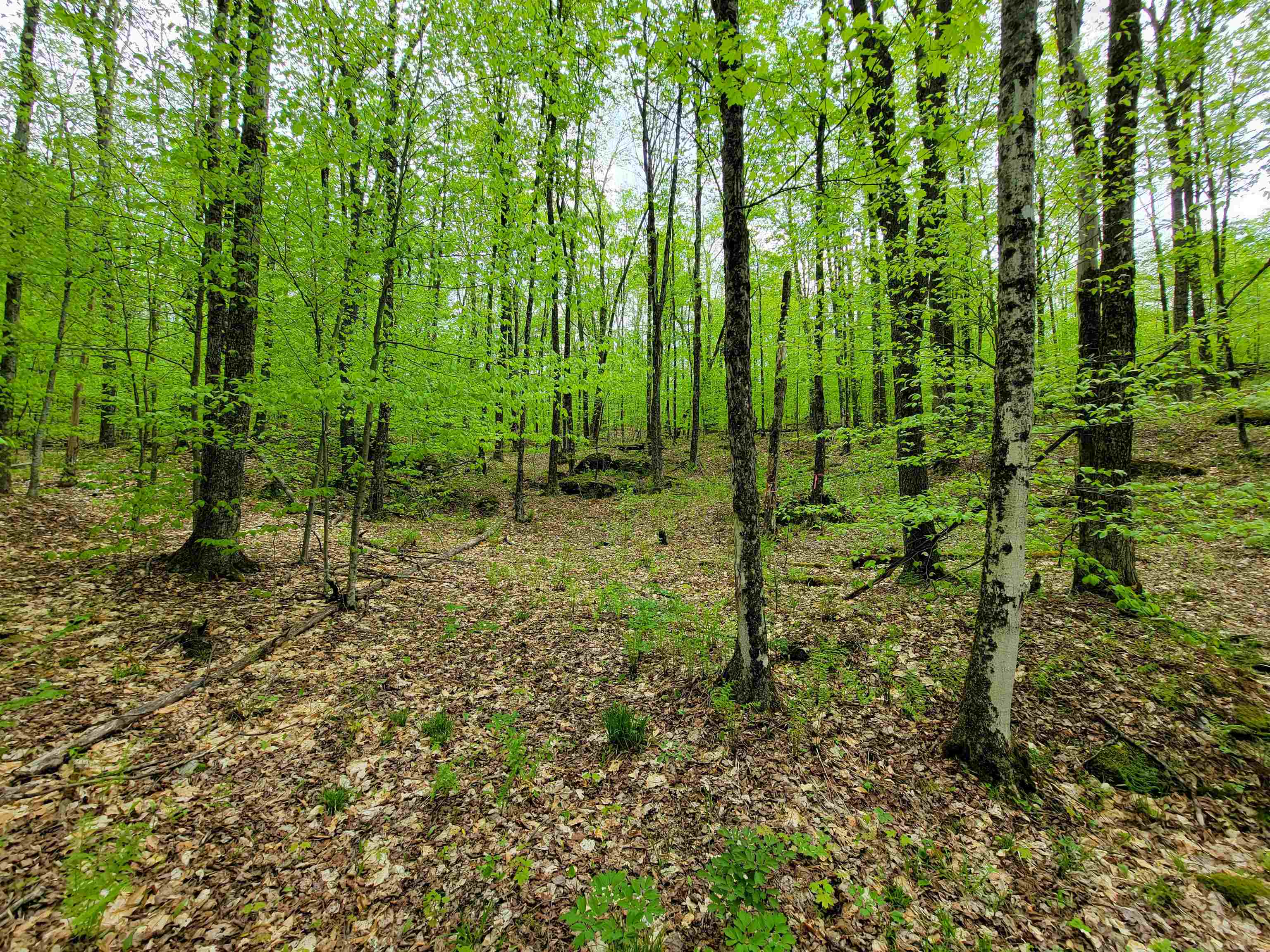 660 Brookview Lane Property Photo 49