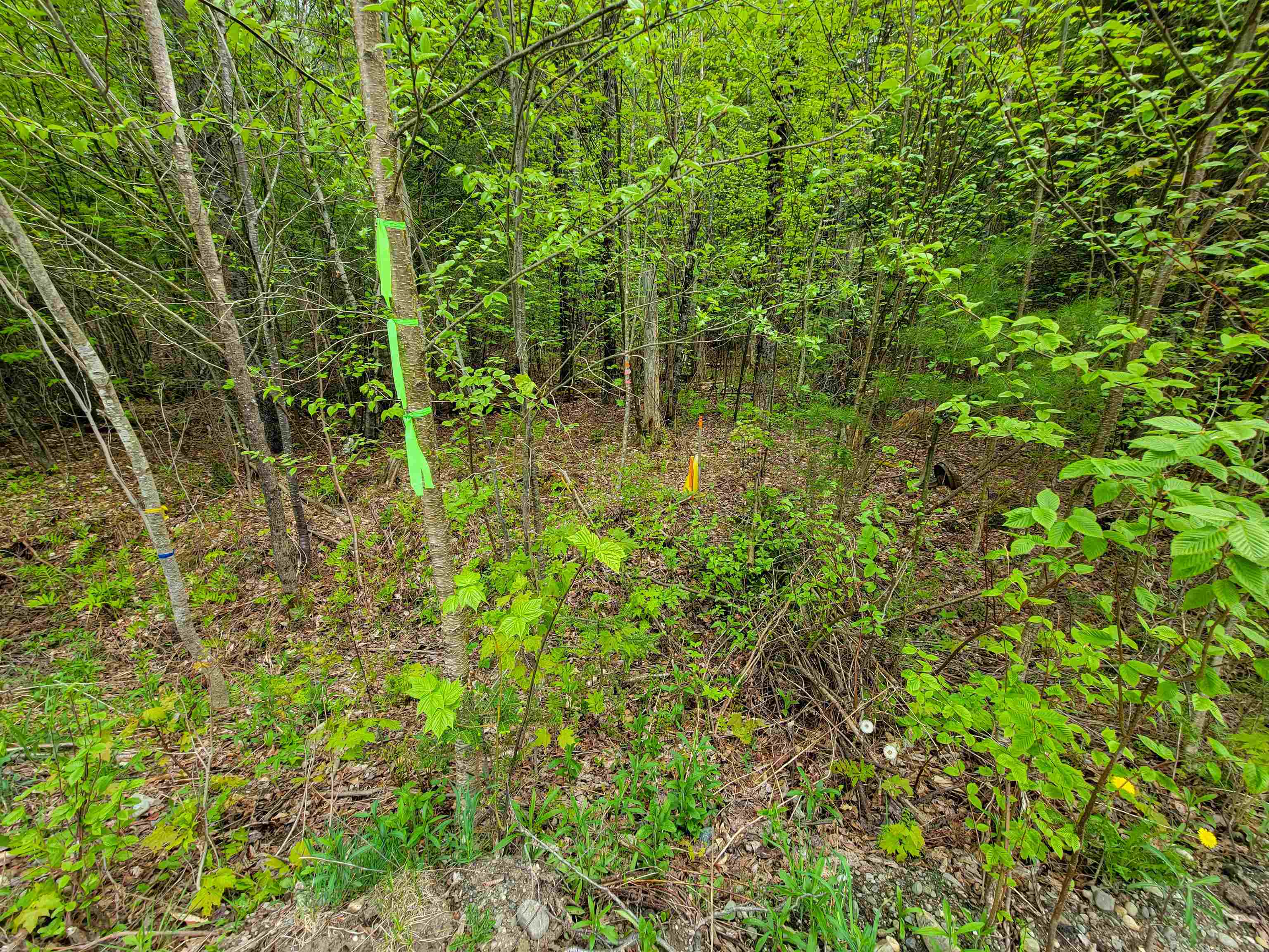 720 Brookview Lane Property Photo 8