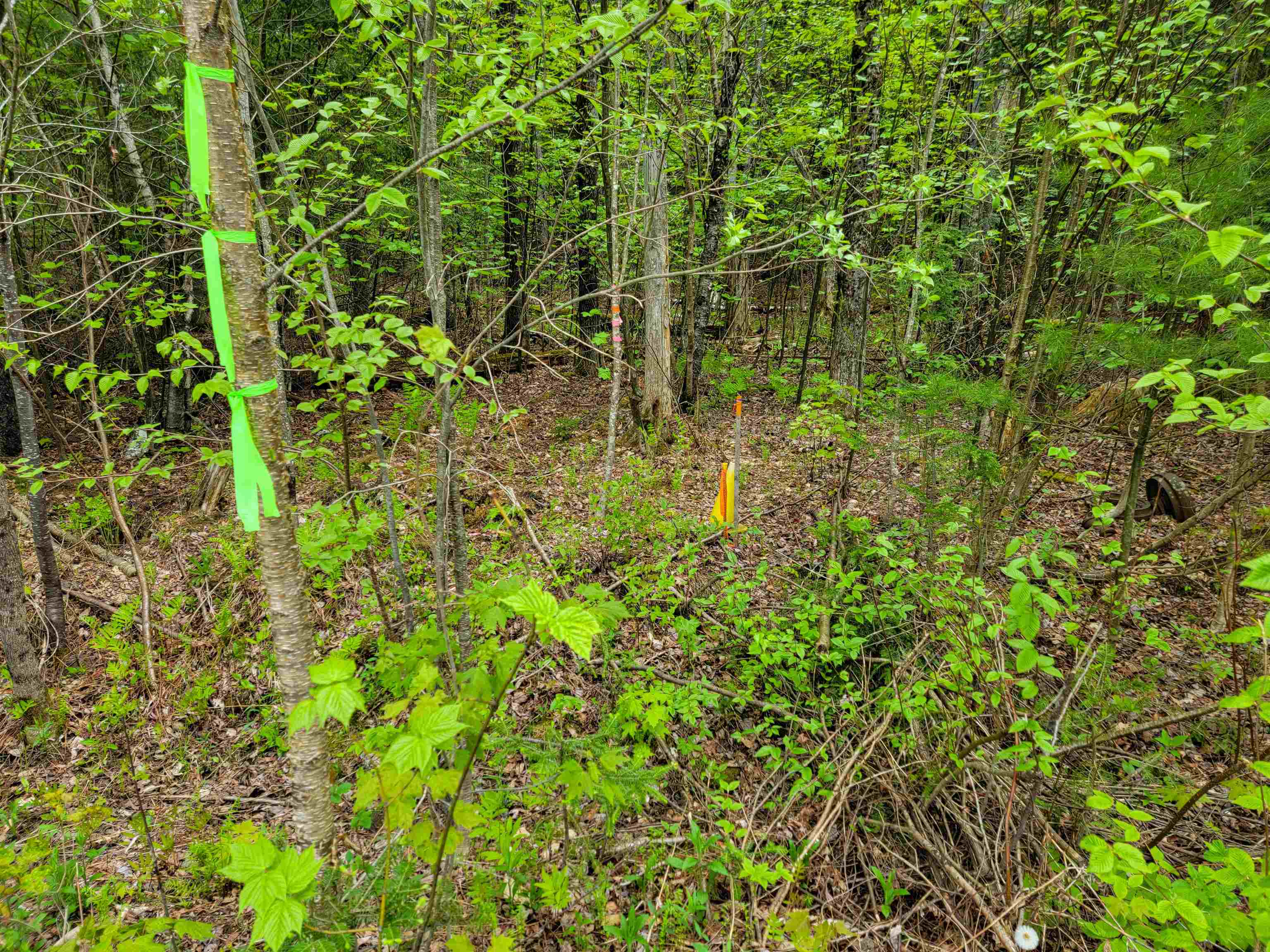 720 Brookview Lane Property Photo 9