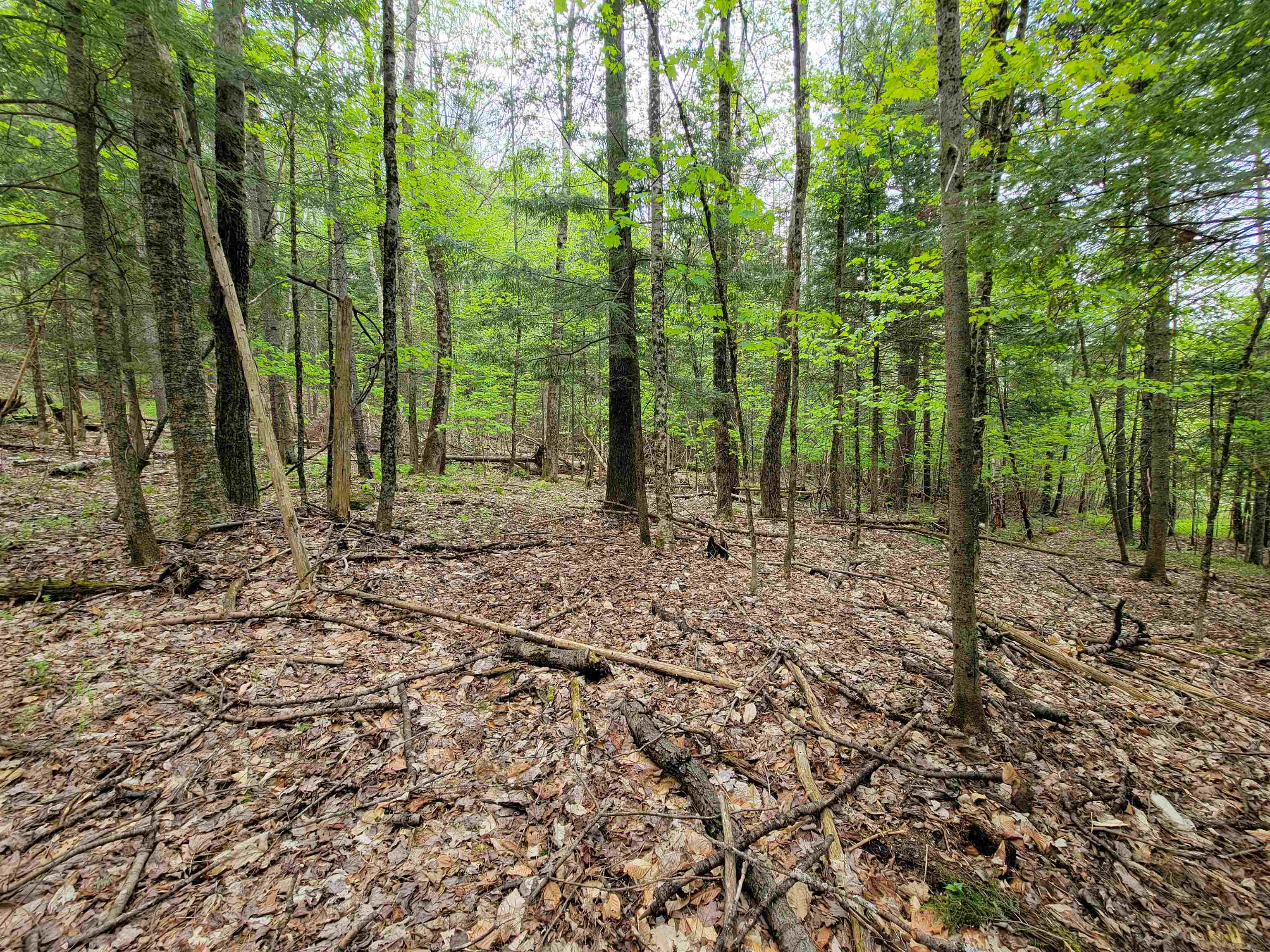 720 Brookview Lane Property Photo 26