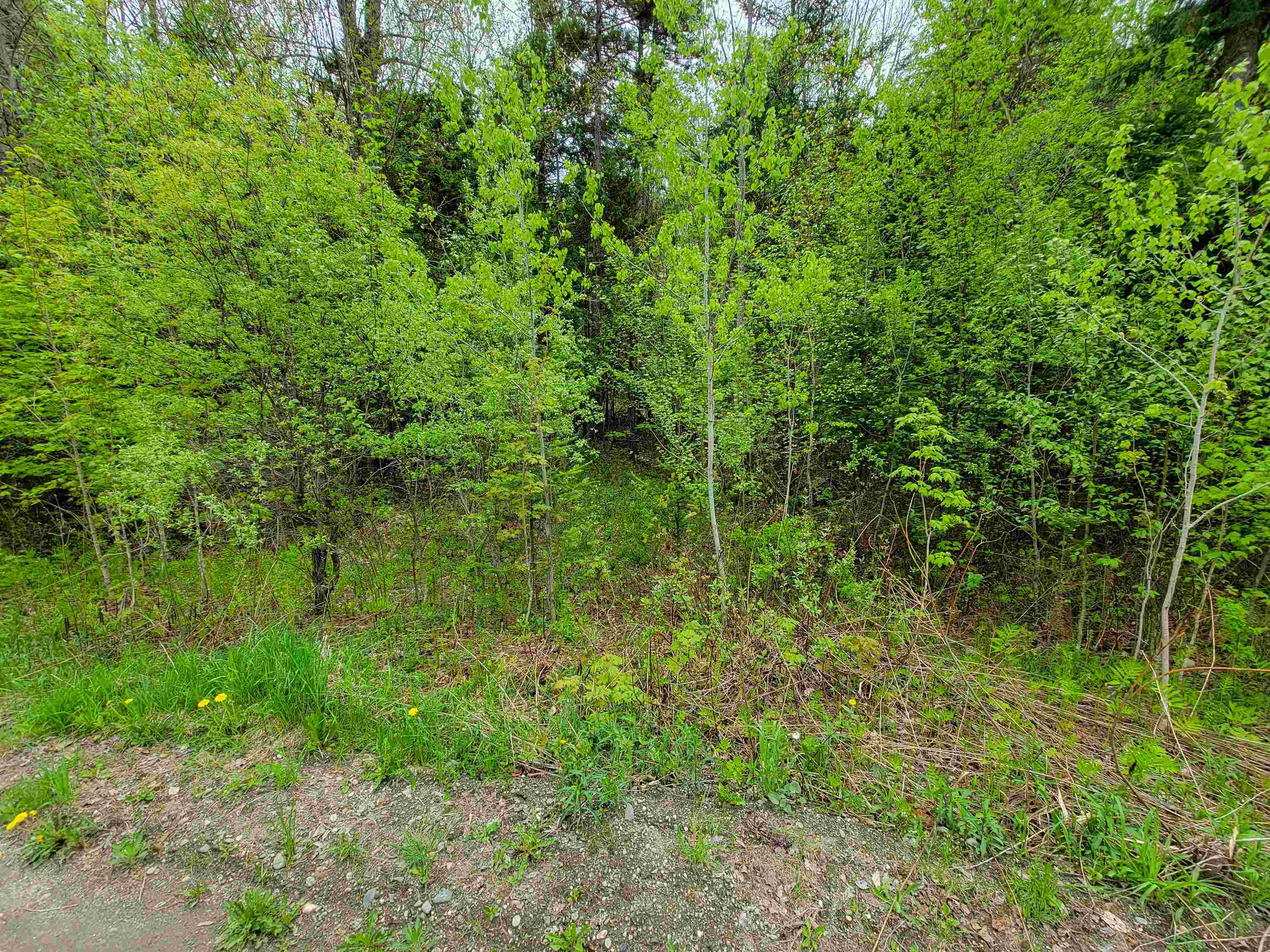720 Brookview Lane Property Photo 33