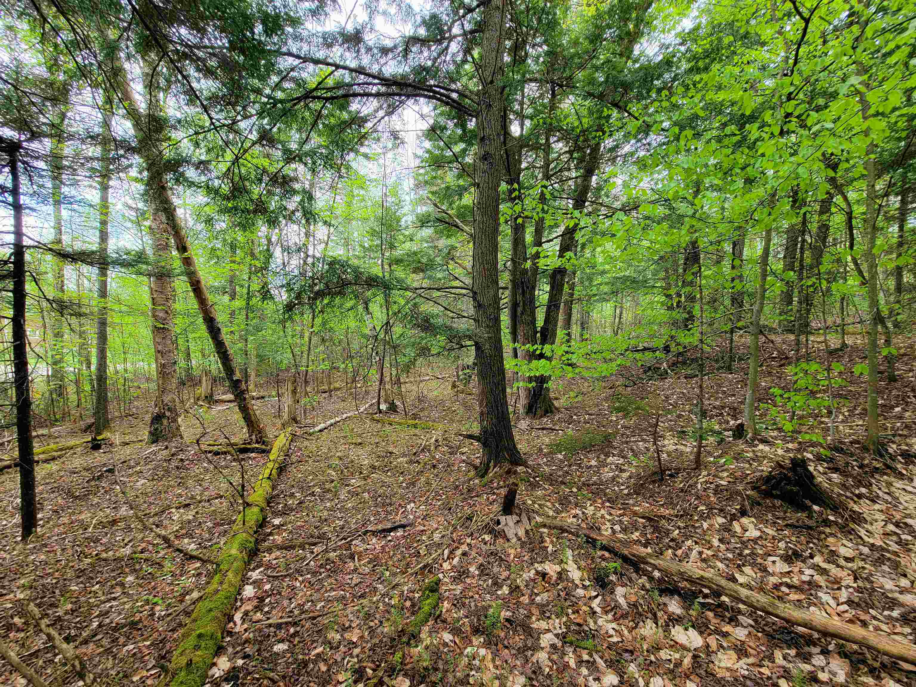 720 Brookview Lane Property Photo 37