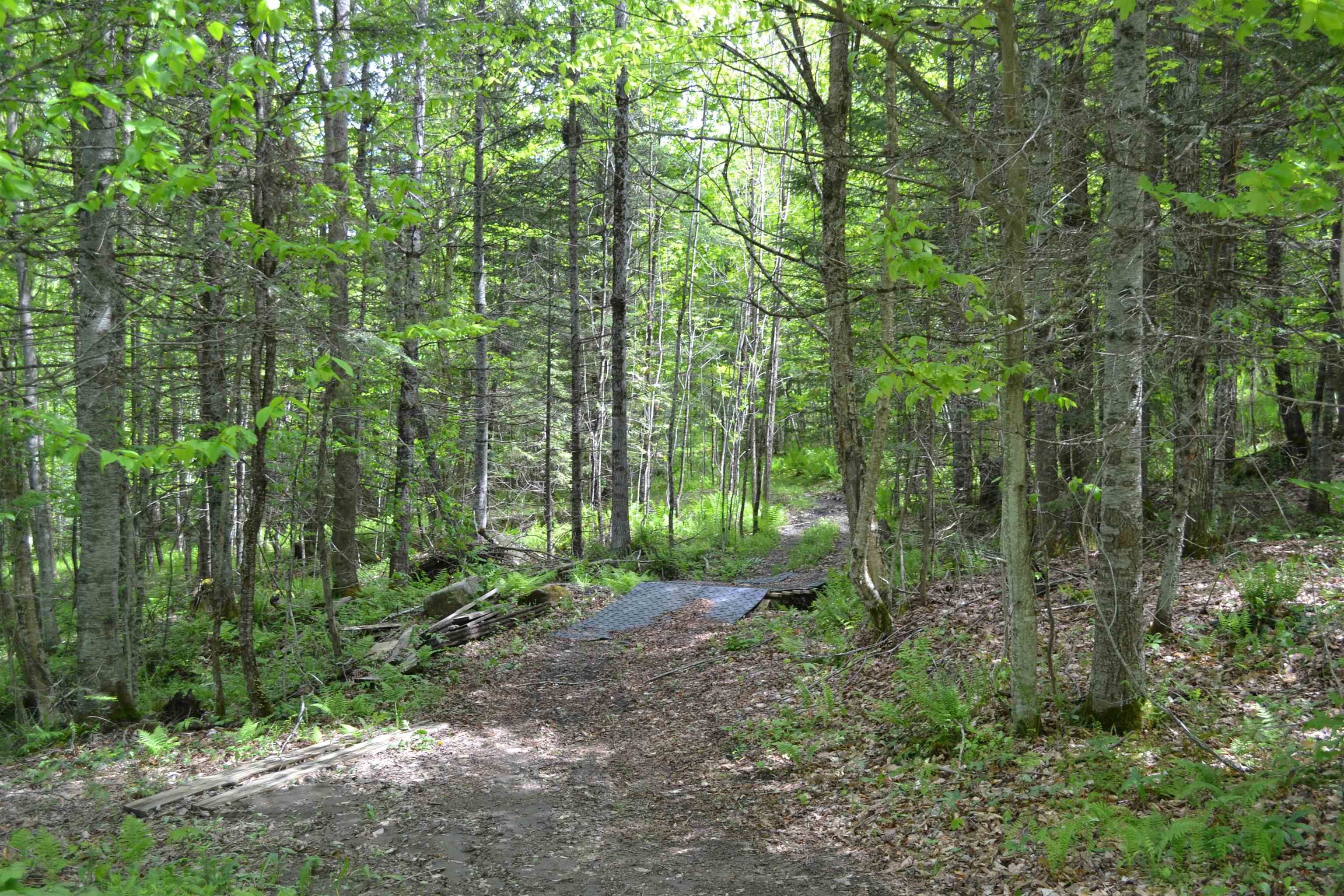 1688 Vt Route 5a Property Photo 34