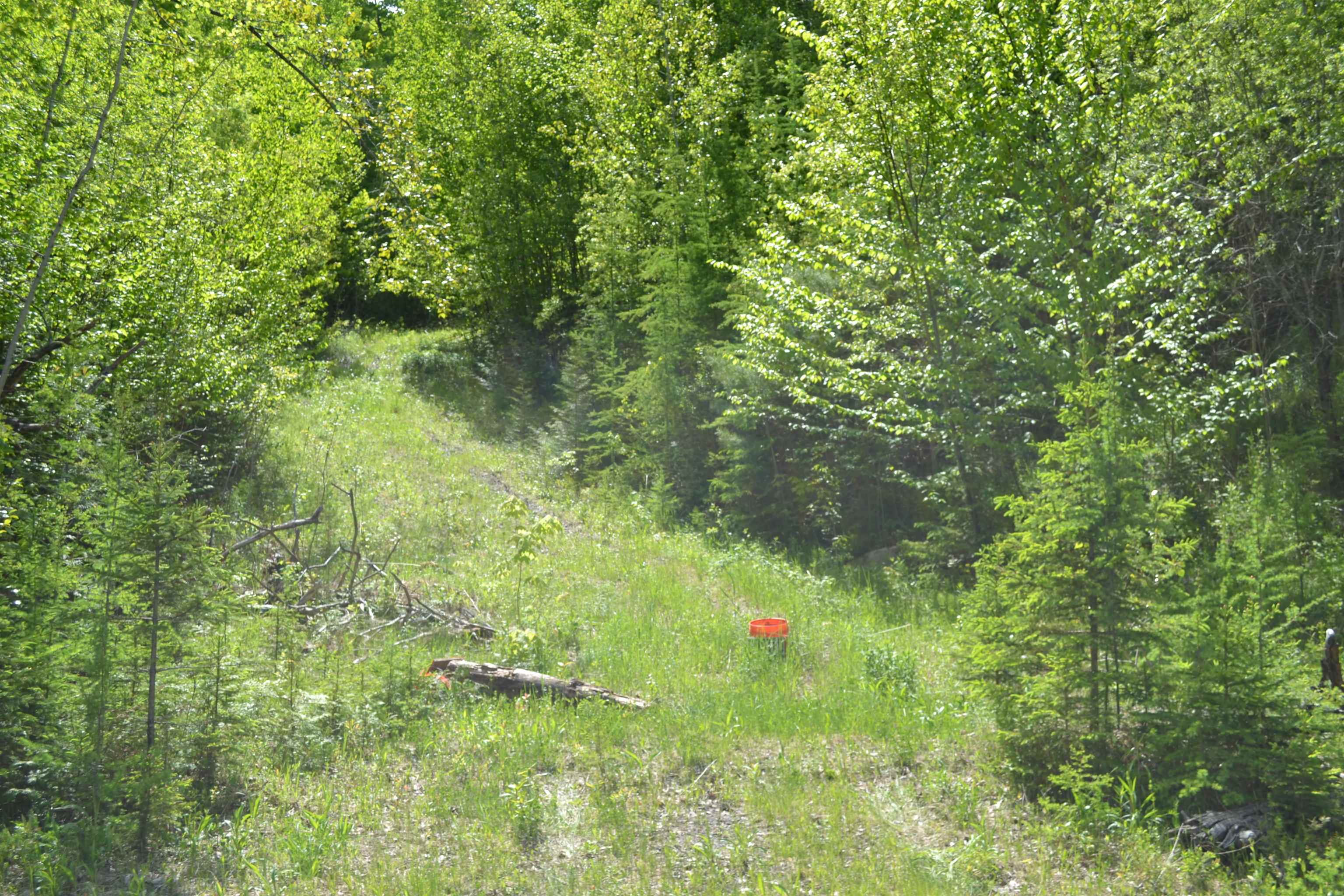 1688 Vt Route 5a Property Photo 55