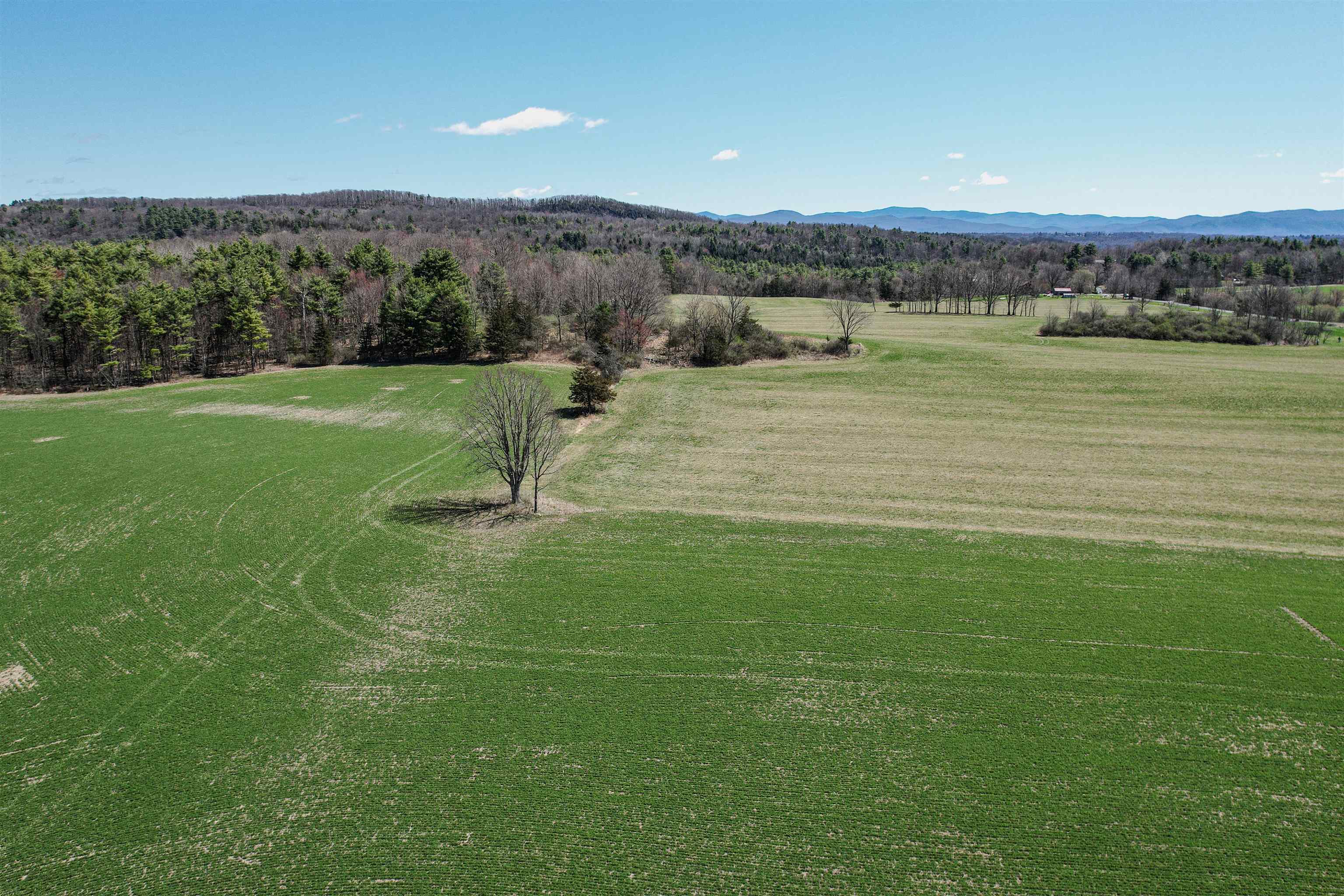 1705 Market Road Property Photo 6