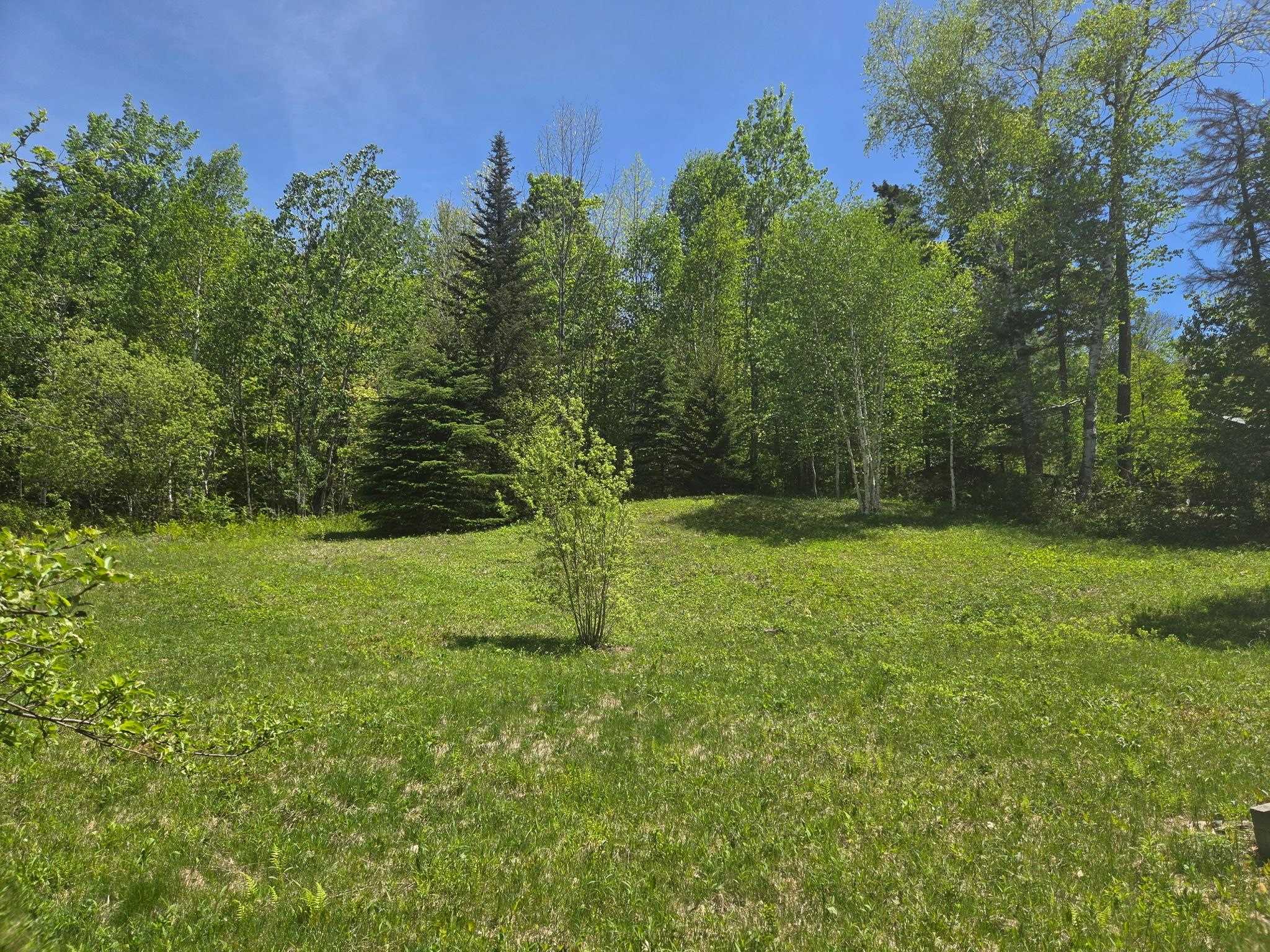 1440 Stevens Road Property Photo 2