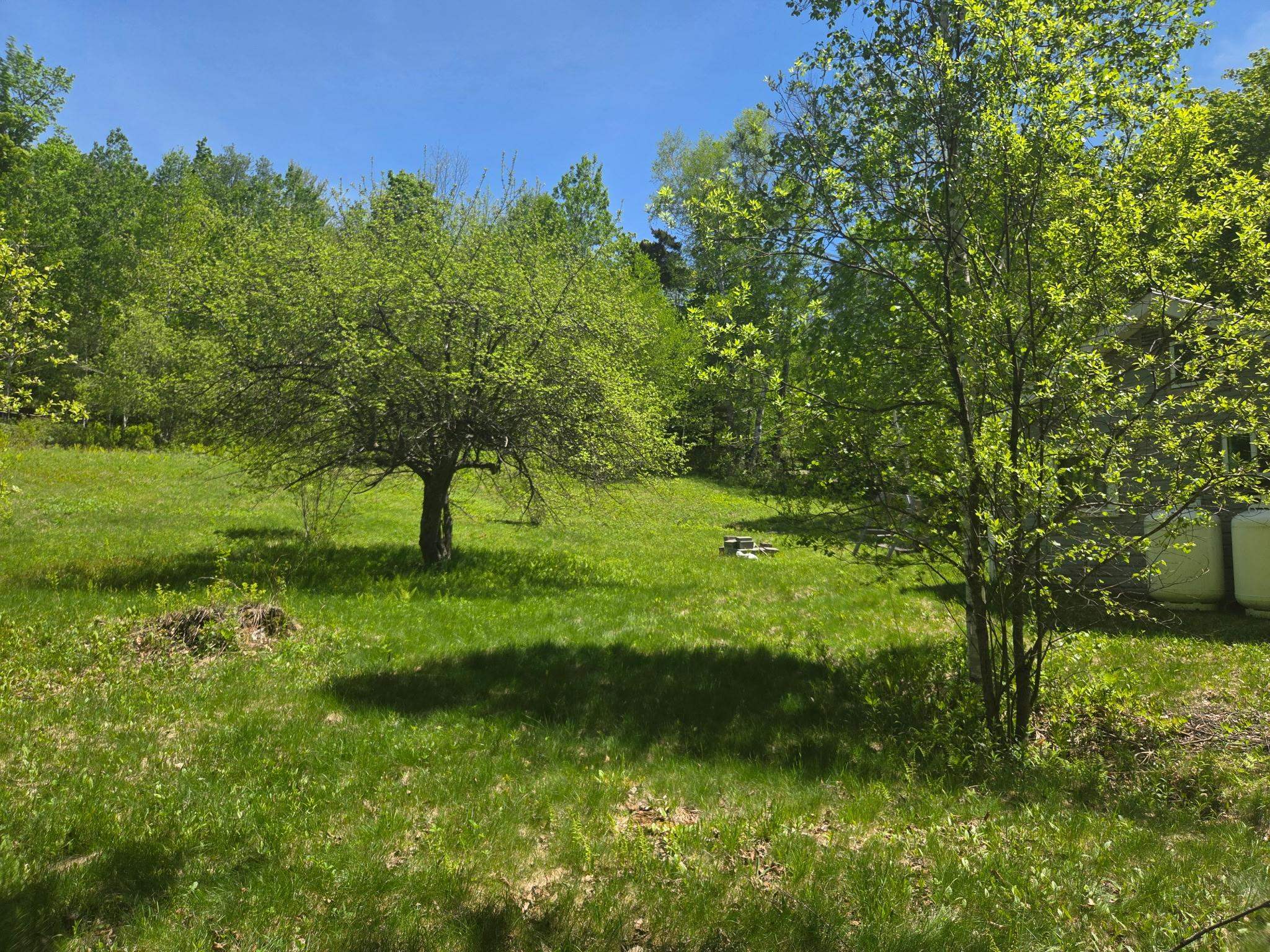 1440 Stevens Road Property Photo 18