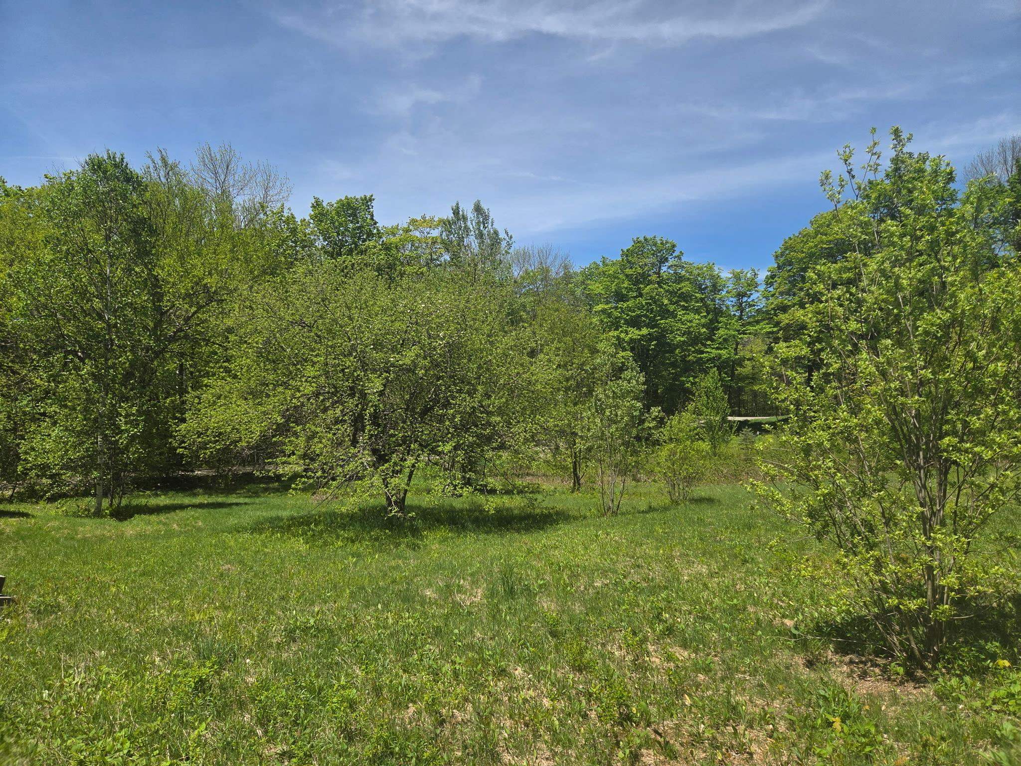 1440 Stevens Road Property Photo 21