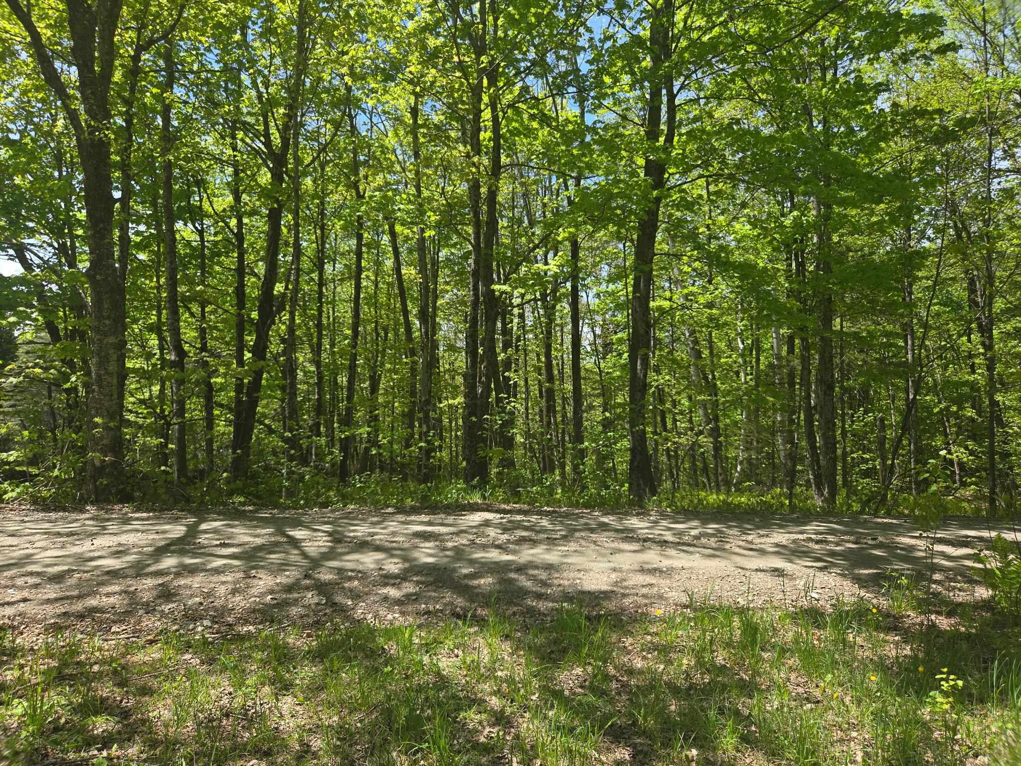 1440 Stevens Road Property Photo 22
