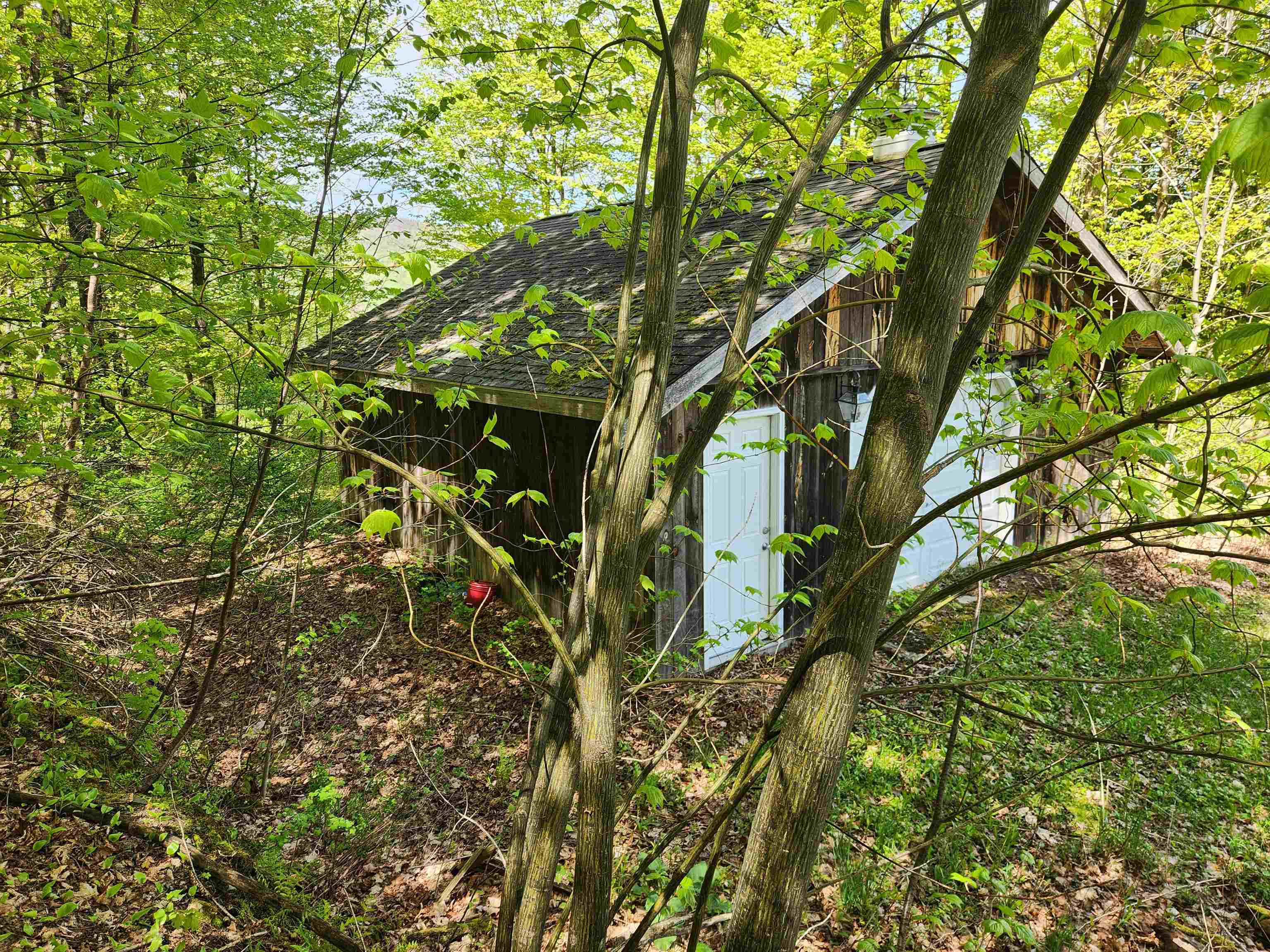 3517 Colvin Hill Road Property Photo 14
