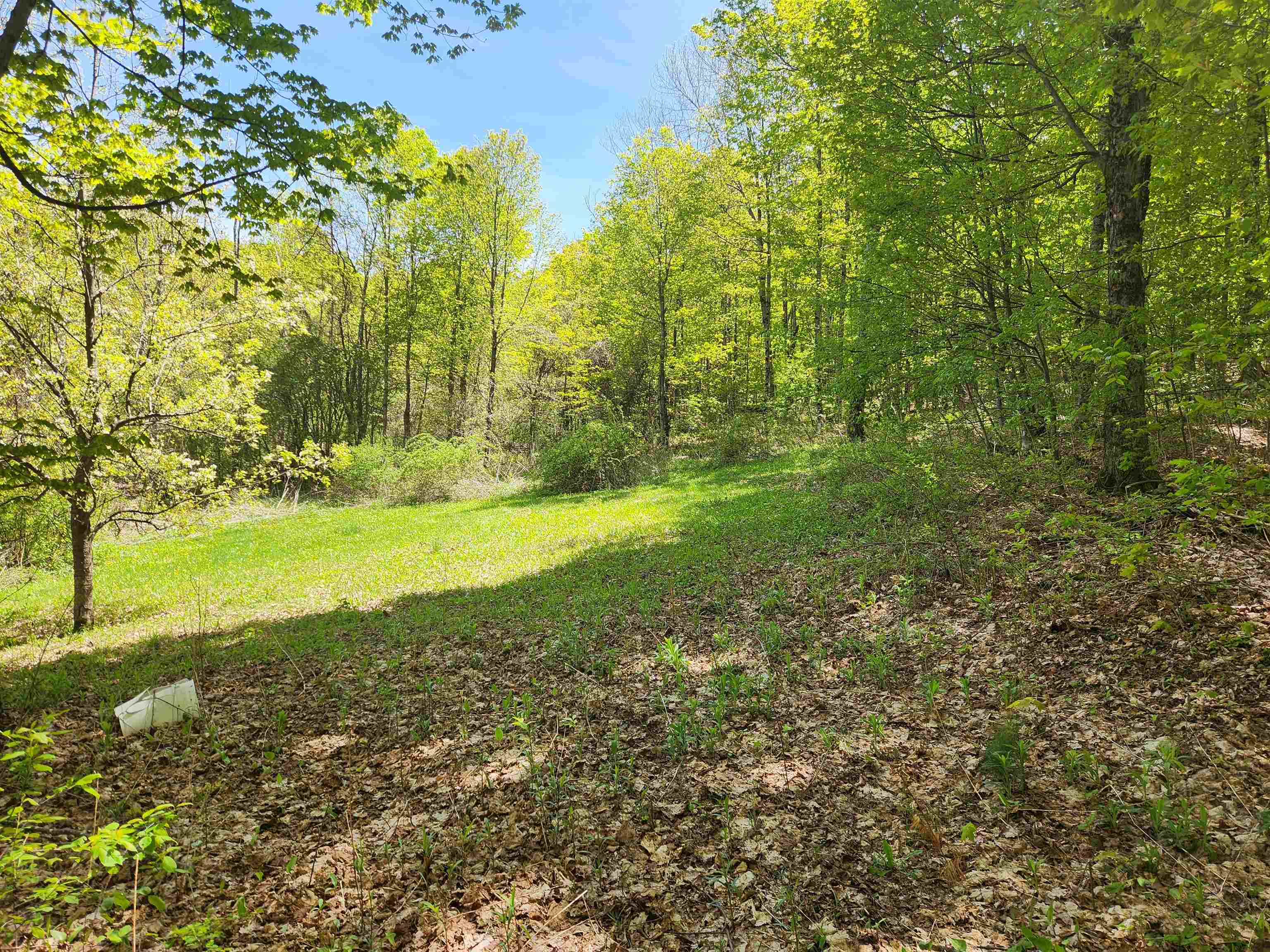3517 Colvin Hill Road Property Photo 16