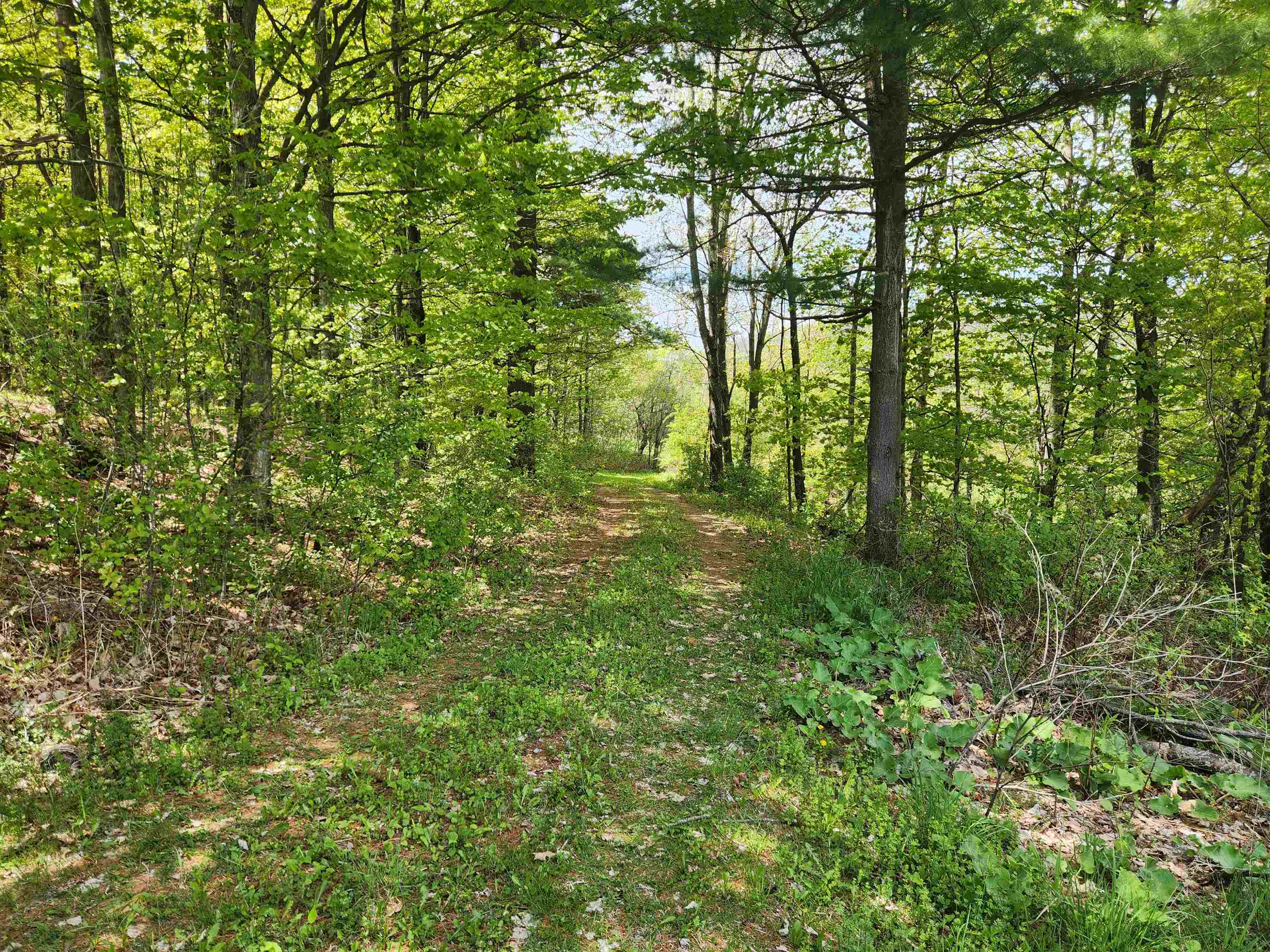 3517 Colvin Hill Road Property Photo 20
