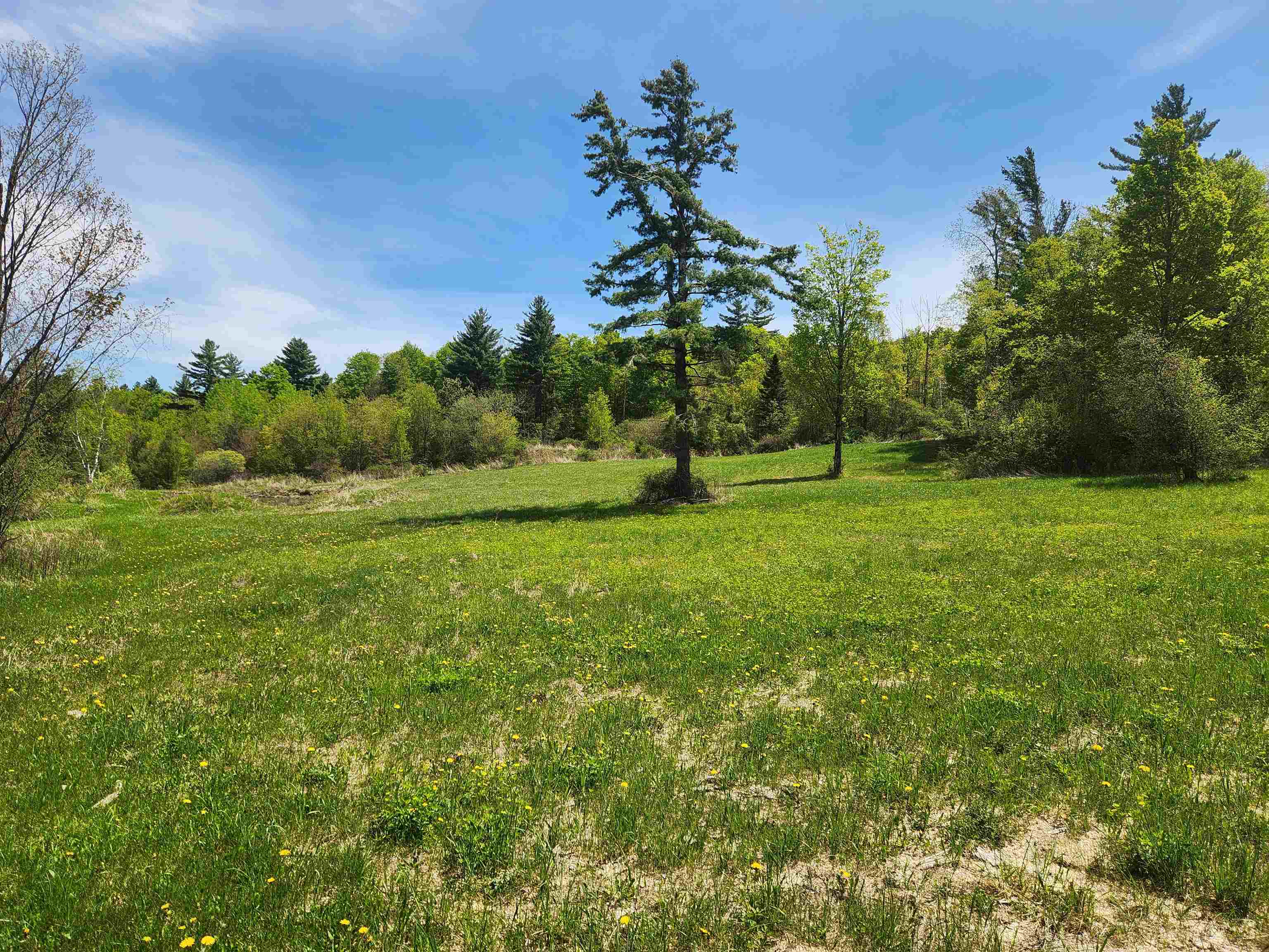 3517 Colvin Hill Road Property Photo 22
