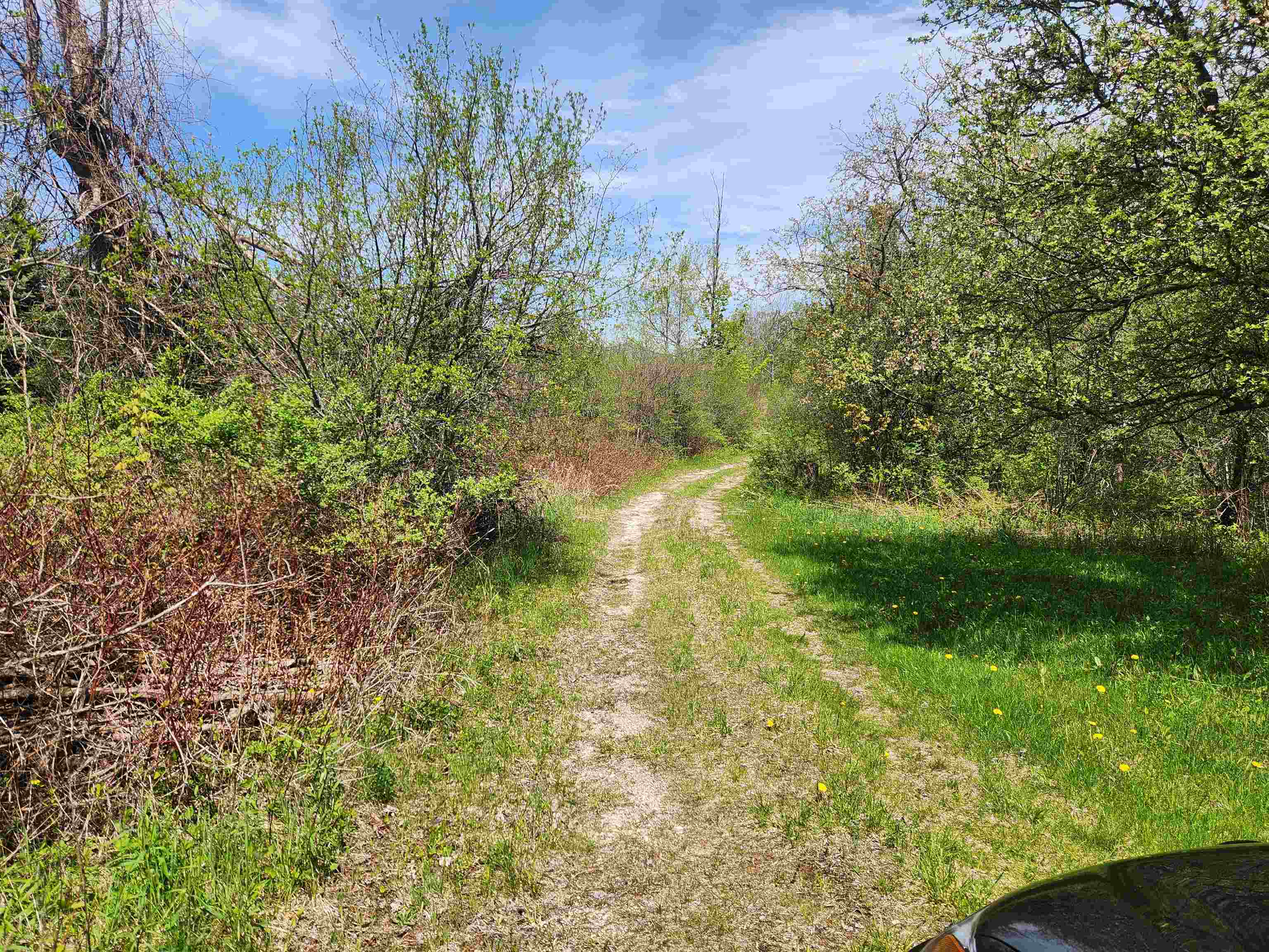 3517 Colvin Hill Road Property Photo 23