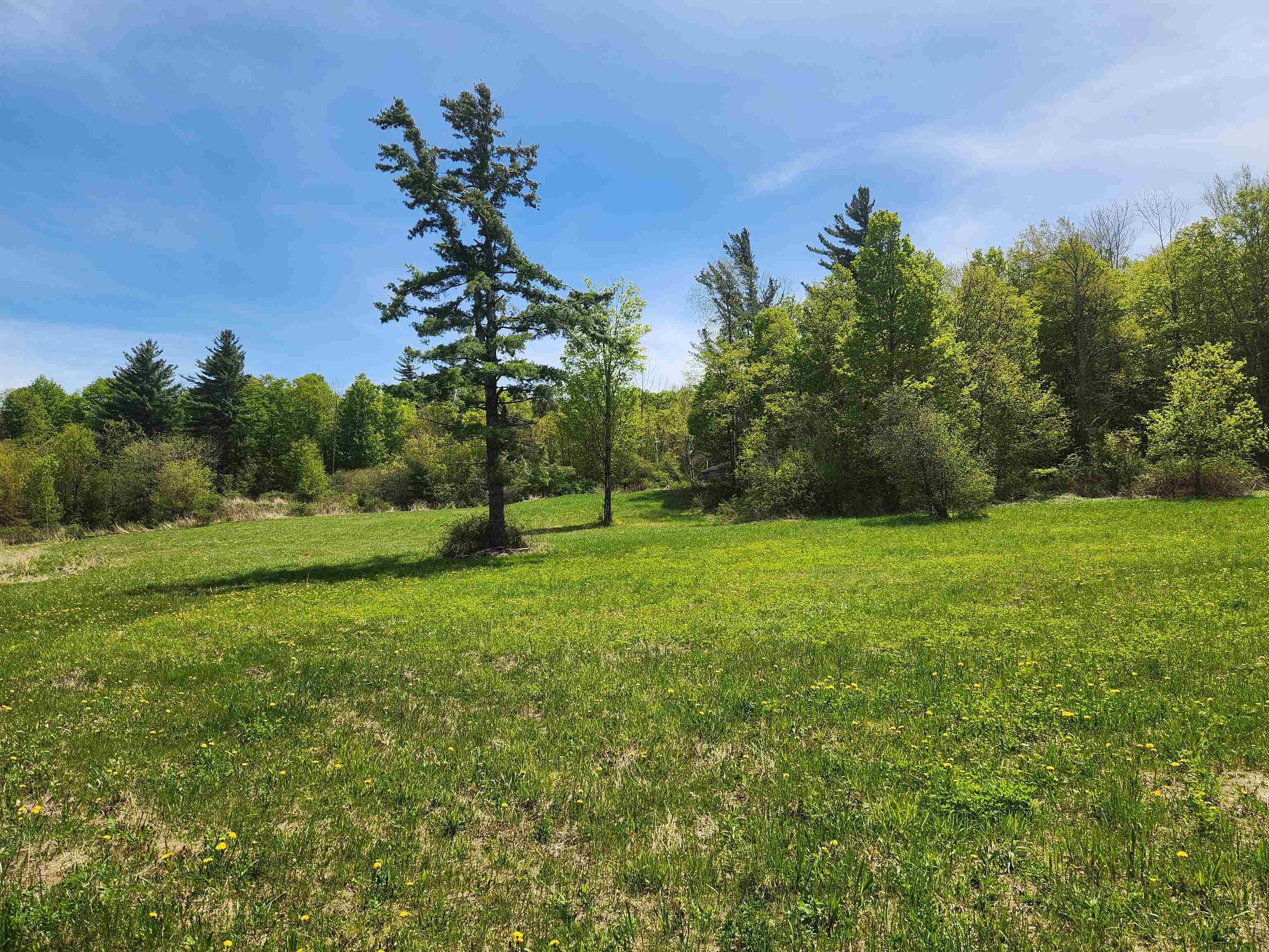 3517 Colvin Hill Road Property Photo 24