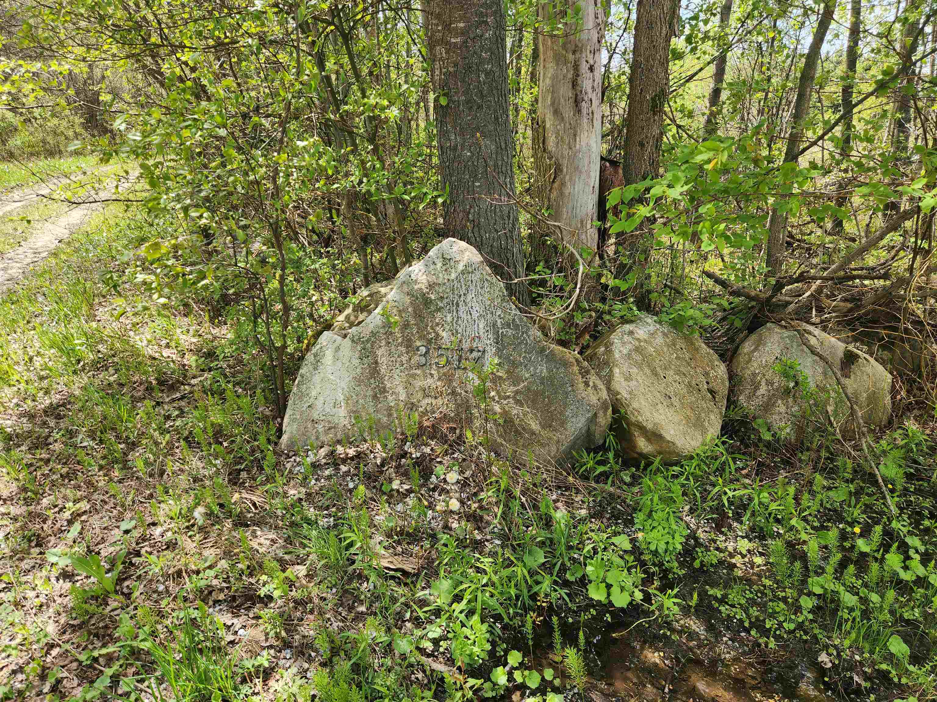 3517 Colvin Hill Road Property Photo 25