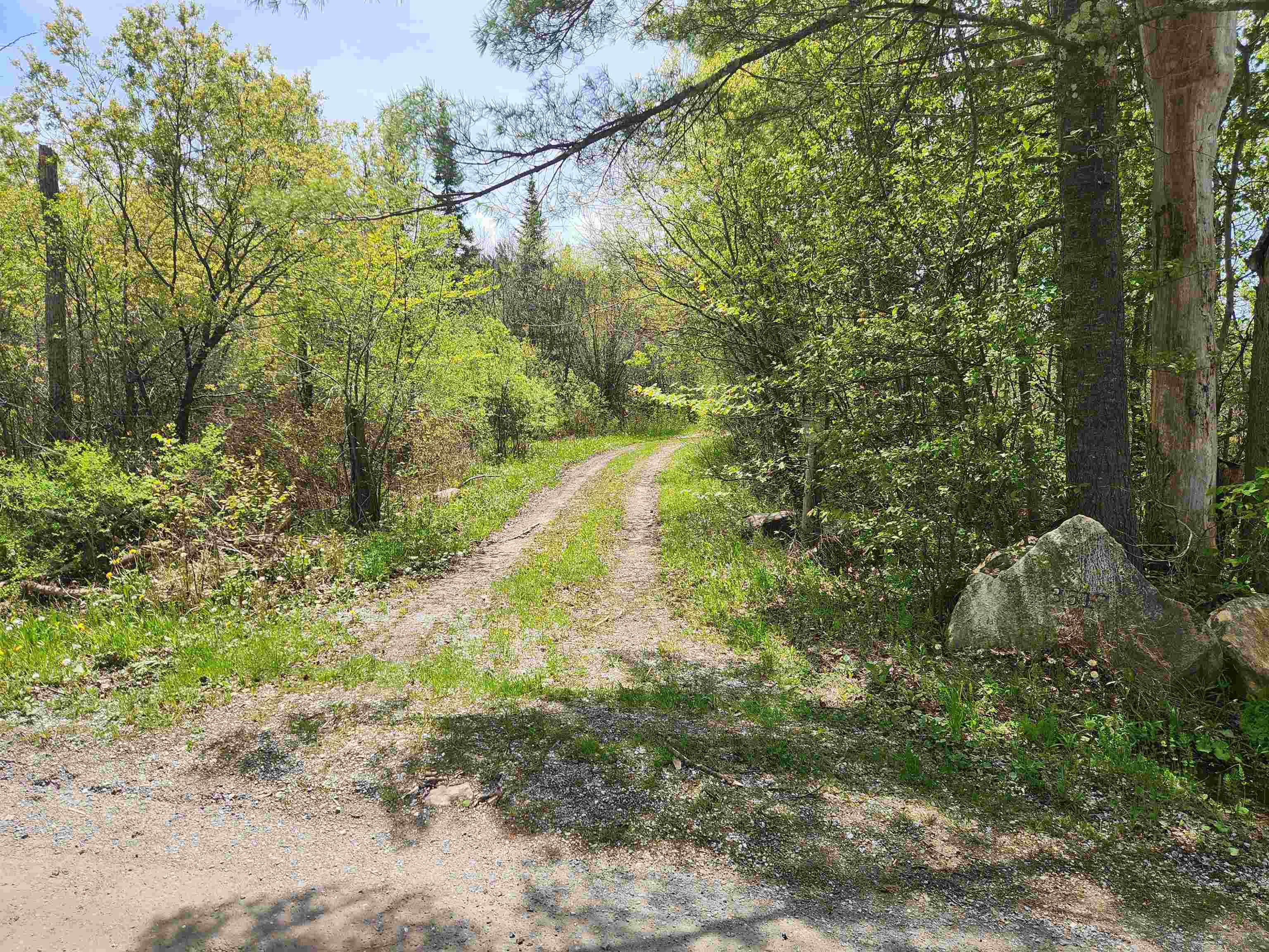 3517 Colvin Hill Road Property Photo 26