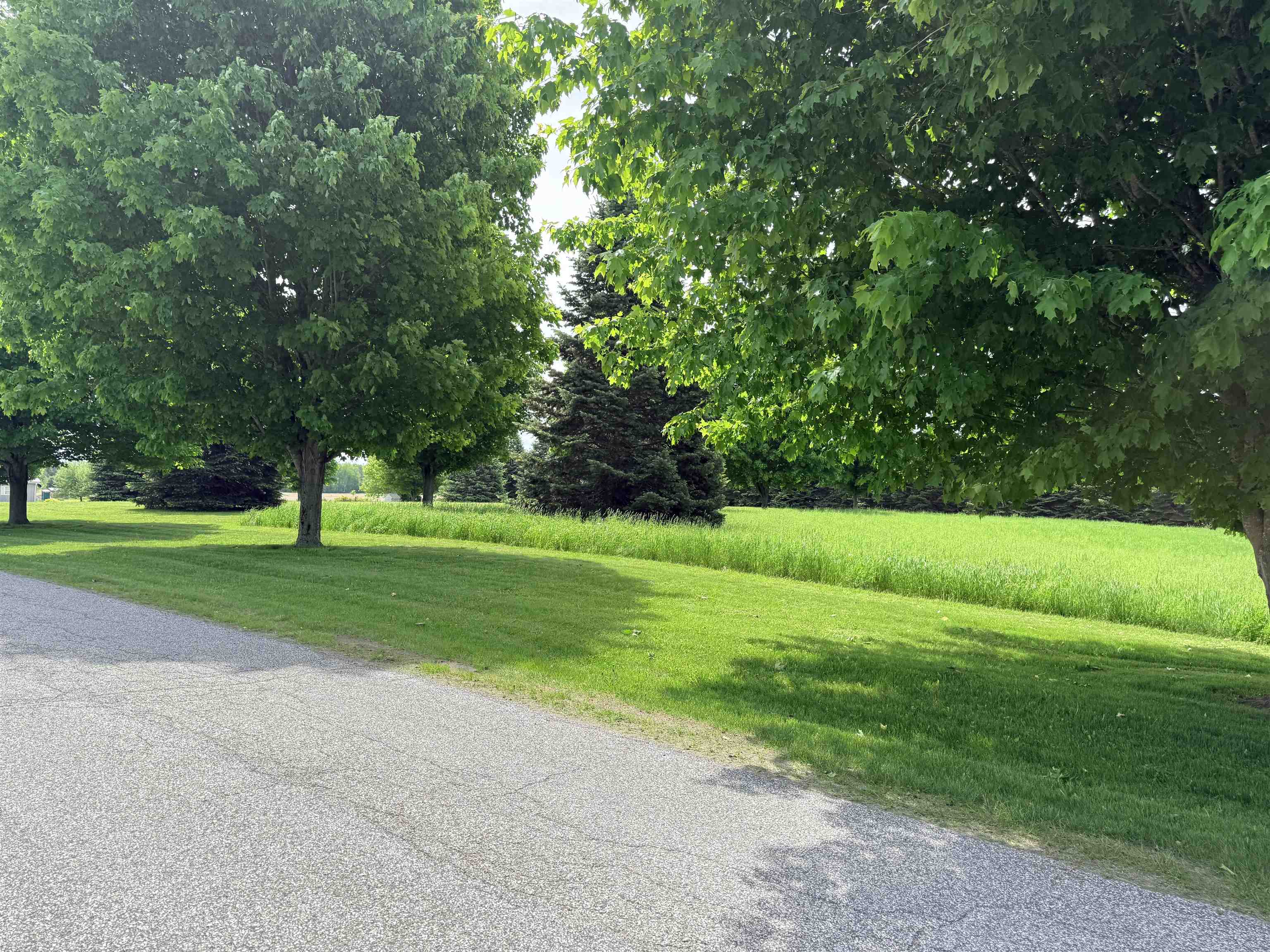 Tbd New Road Property Photo 10