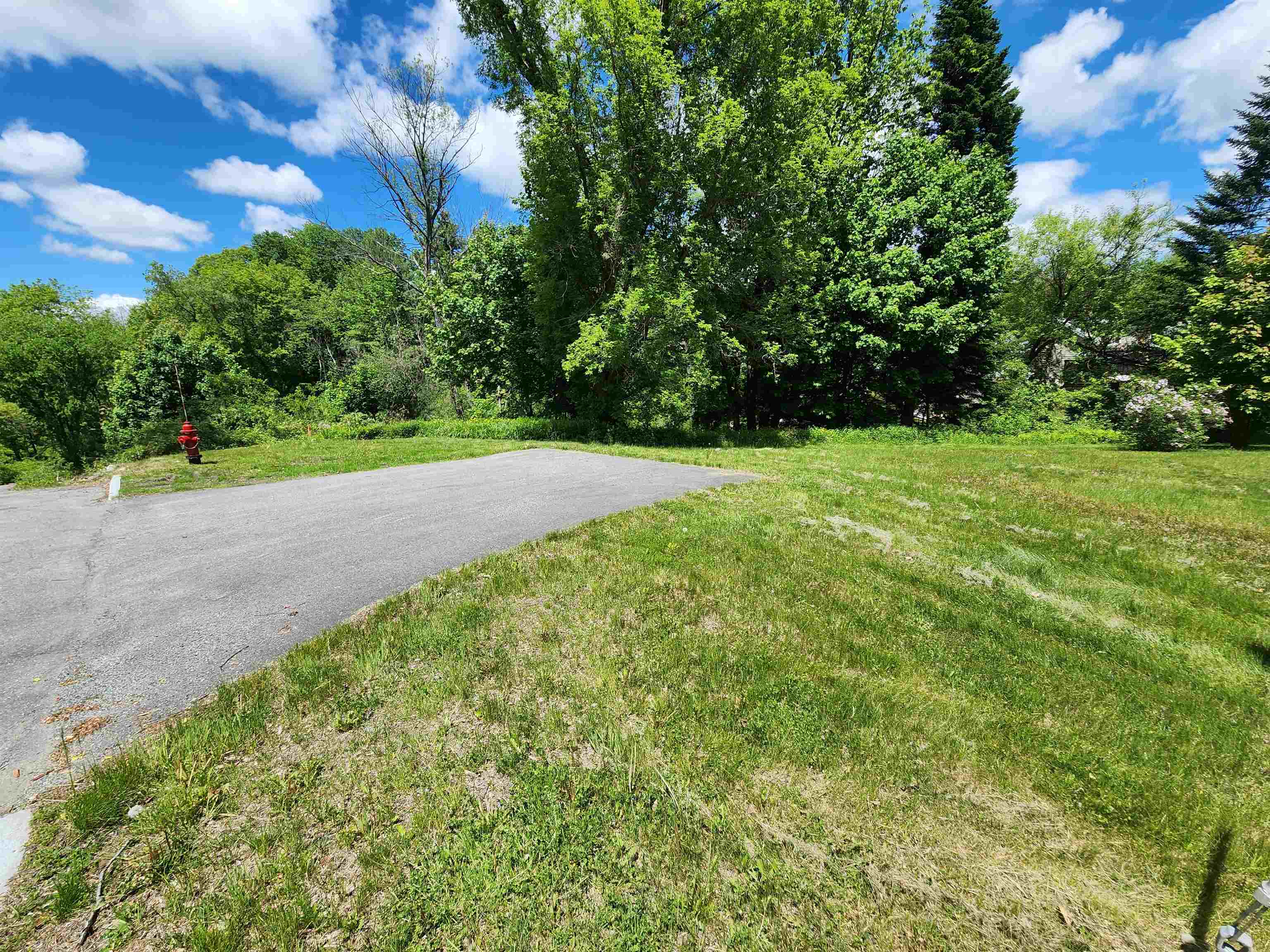 0 Freeman Avenue Property Photo 4