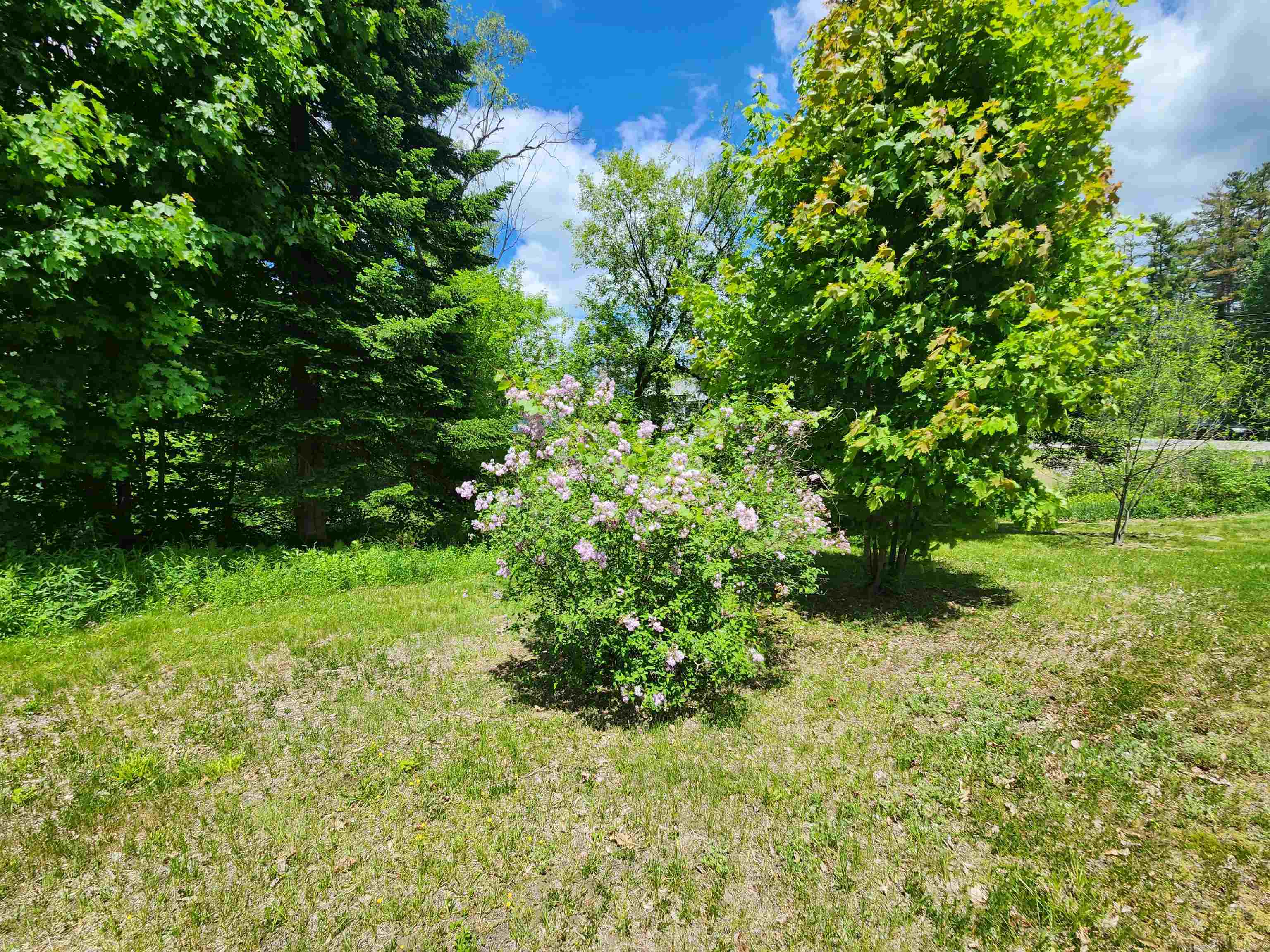 0 Freeman Avenue Property Photo 6