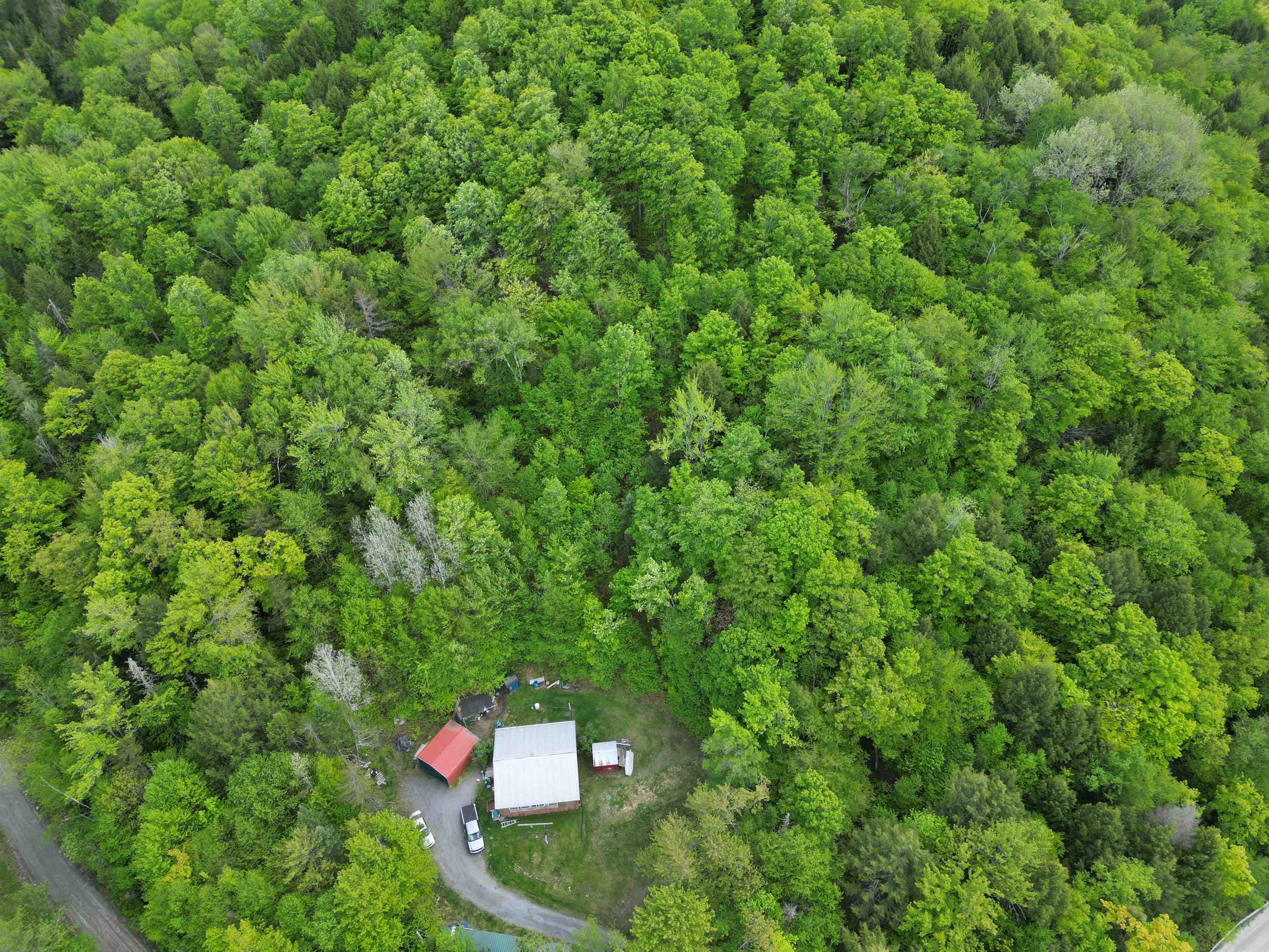 4823 Swamp Road Property Photo 5