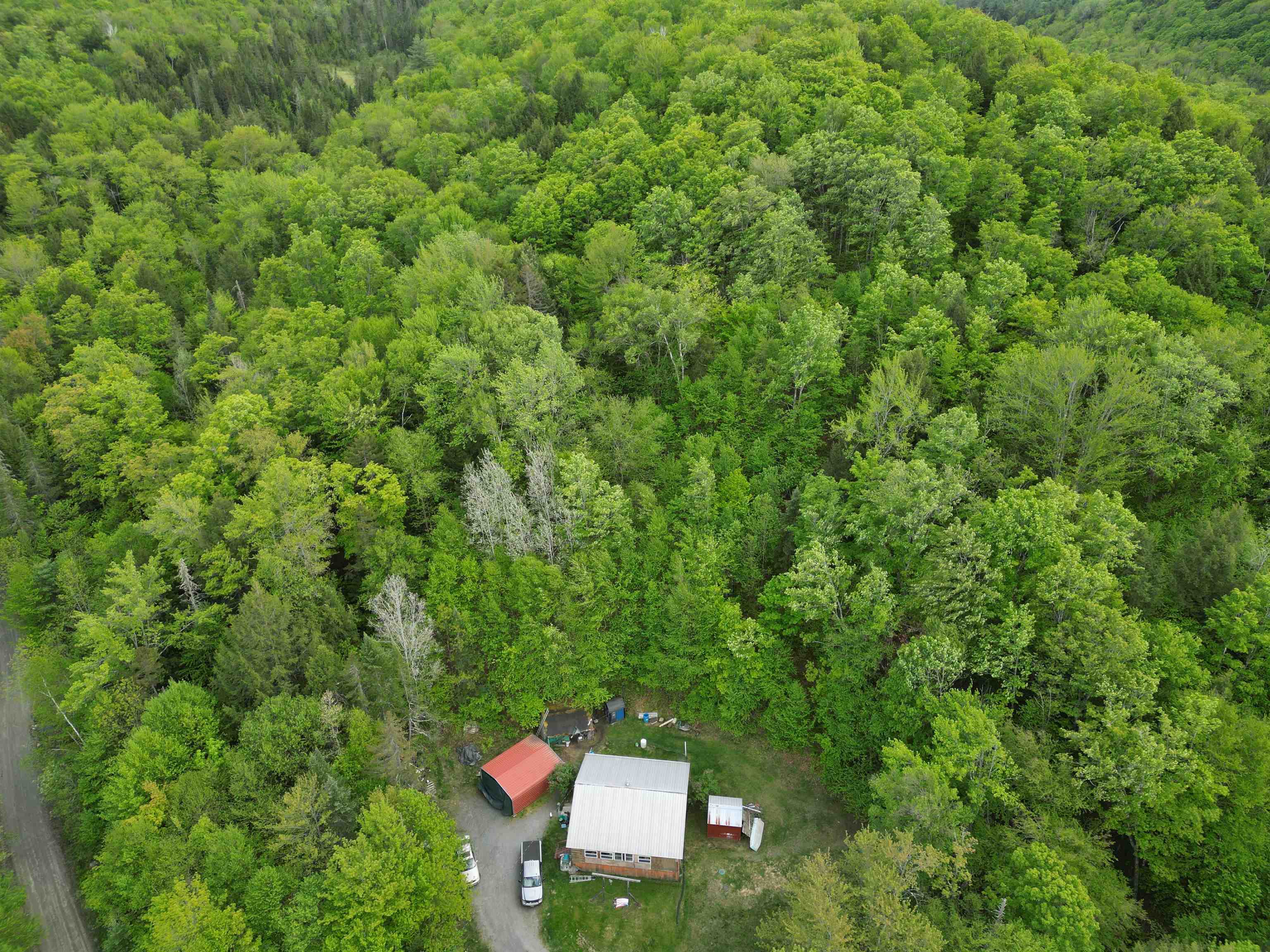 4823 Swamp Road Property Photo 7