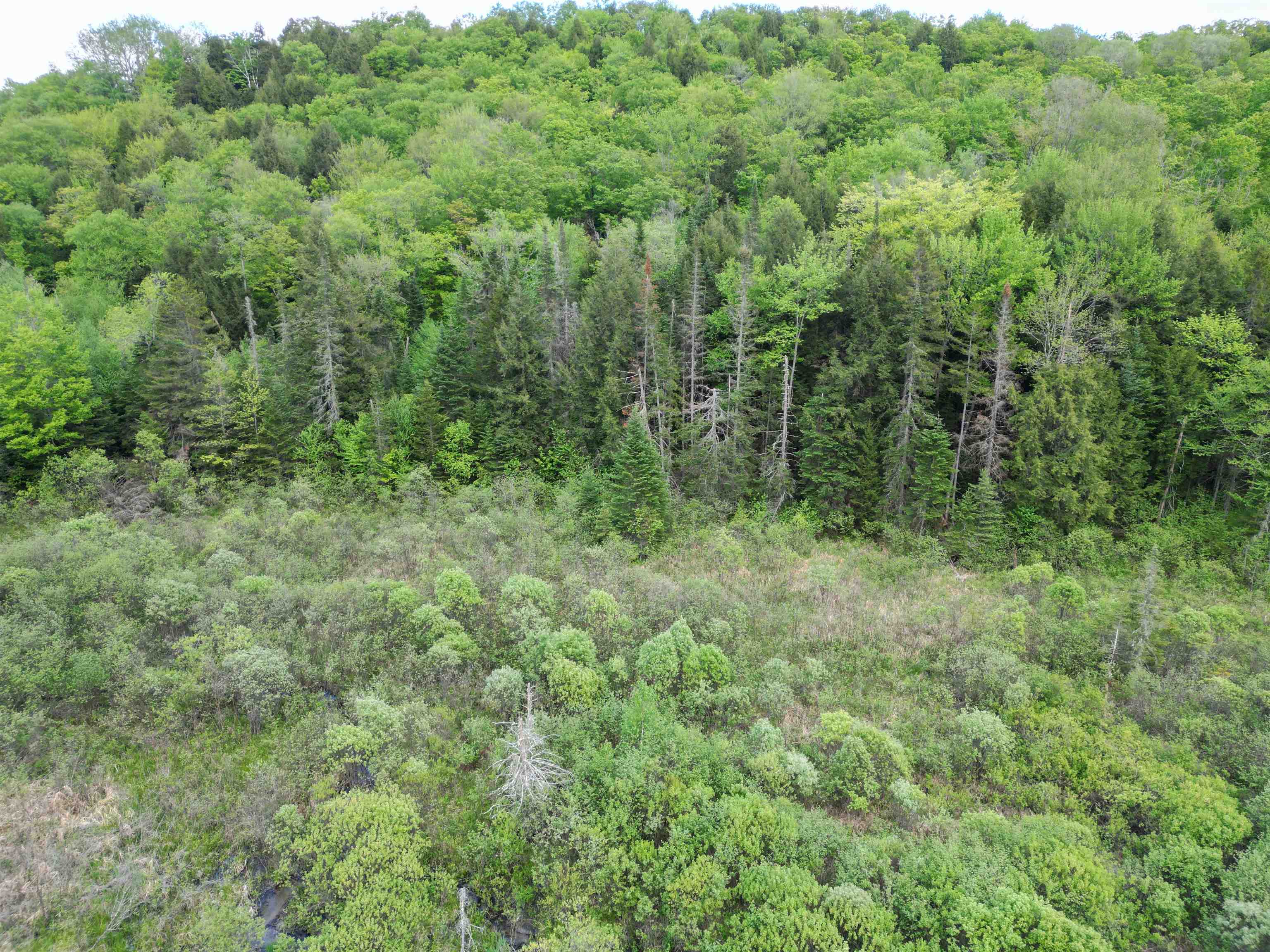 4823 Swamp Road Property Photo 9