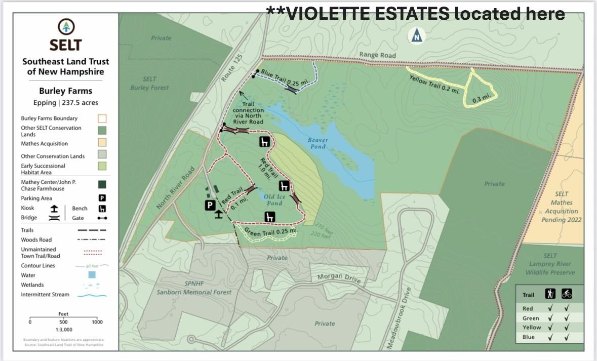 5a Violette Drive Property Photo 60