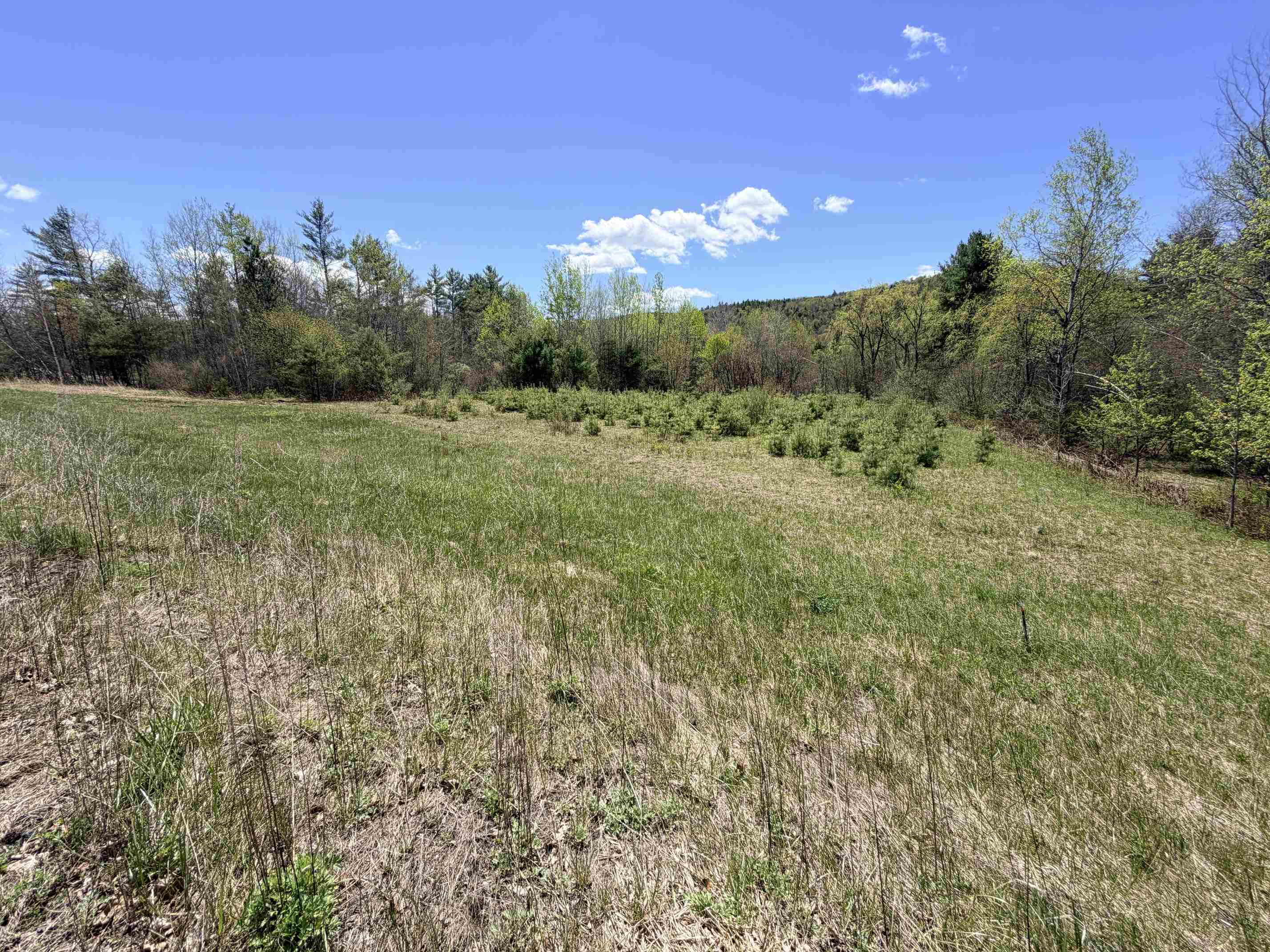 736 John Stark Highway Property Photo 2