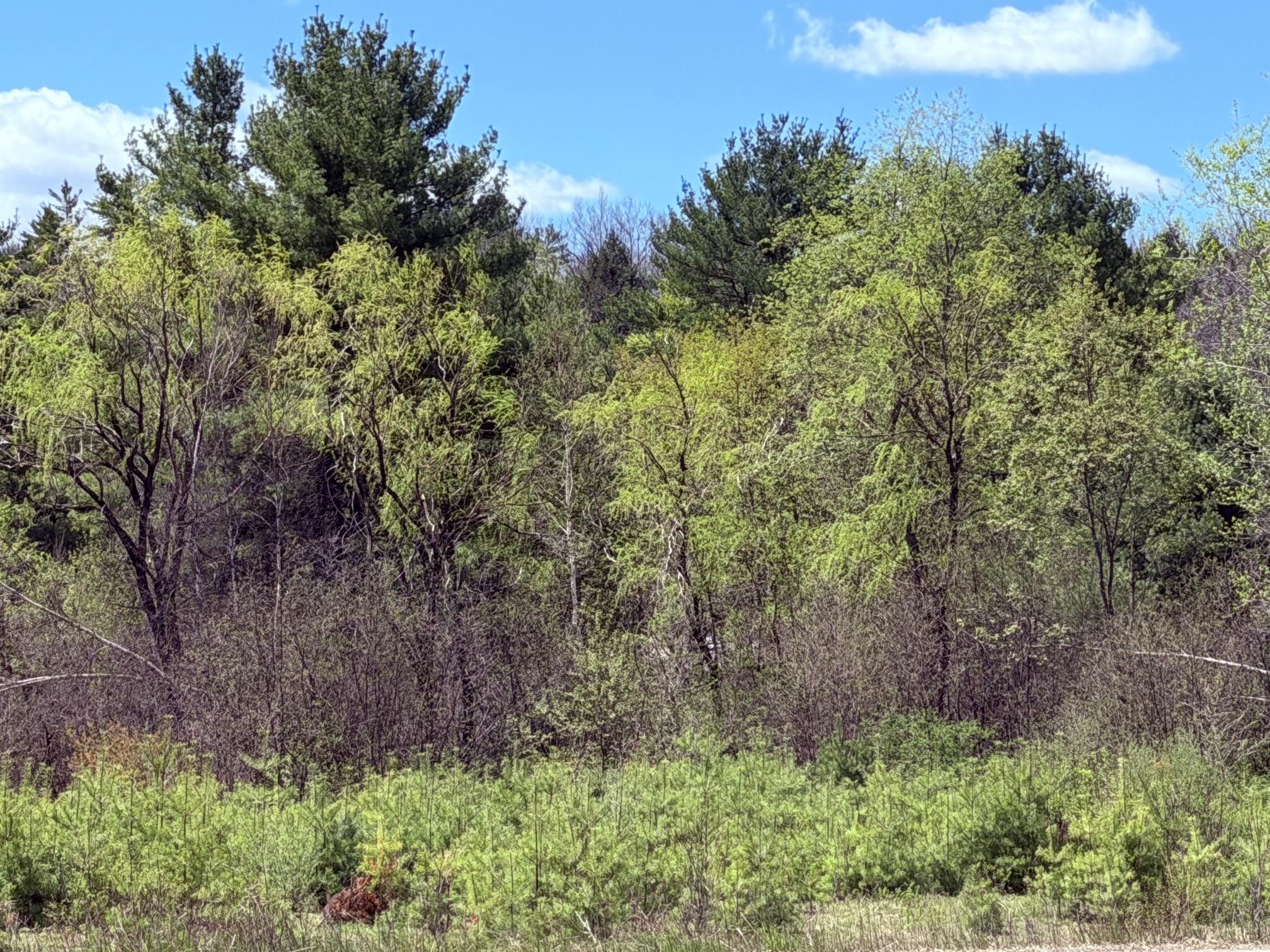 736 John Stark Highway Property Photo 5
