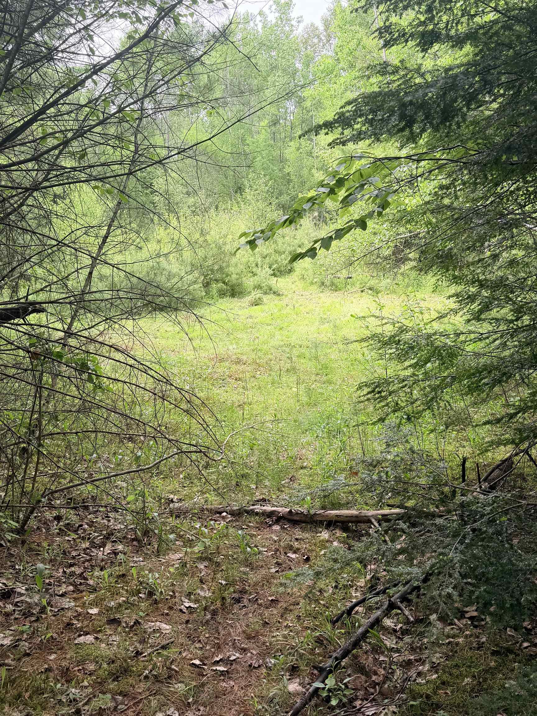 736 John Stark Highway Property Photo 13