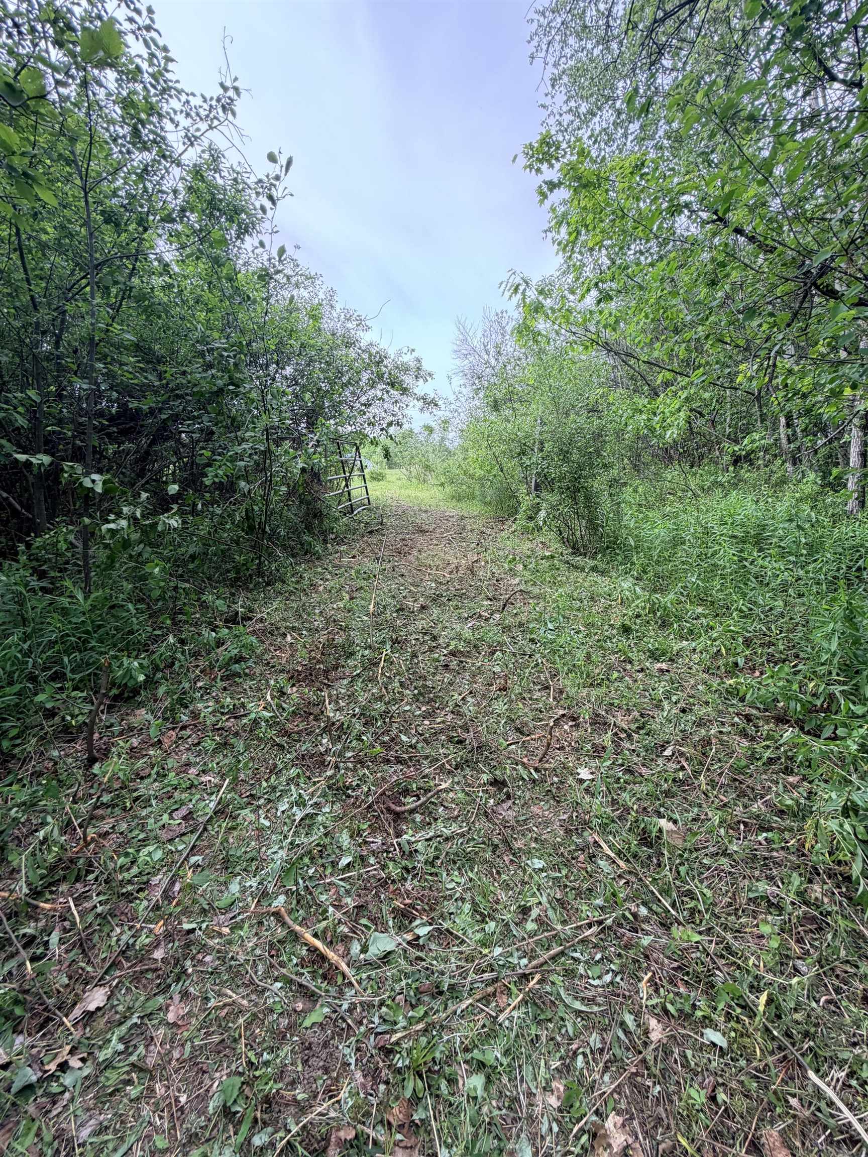 736 John Stark Highway Property Photo 14