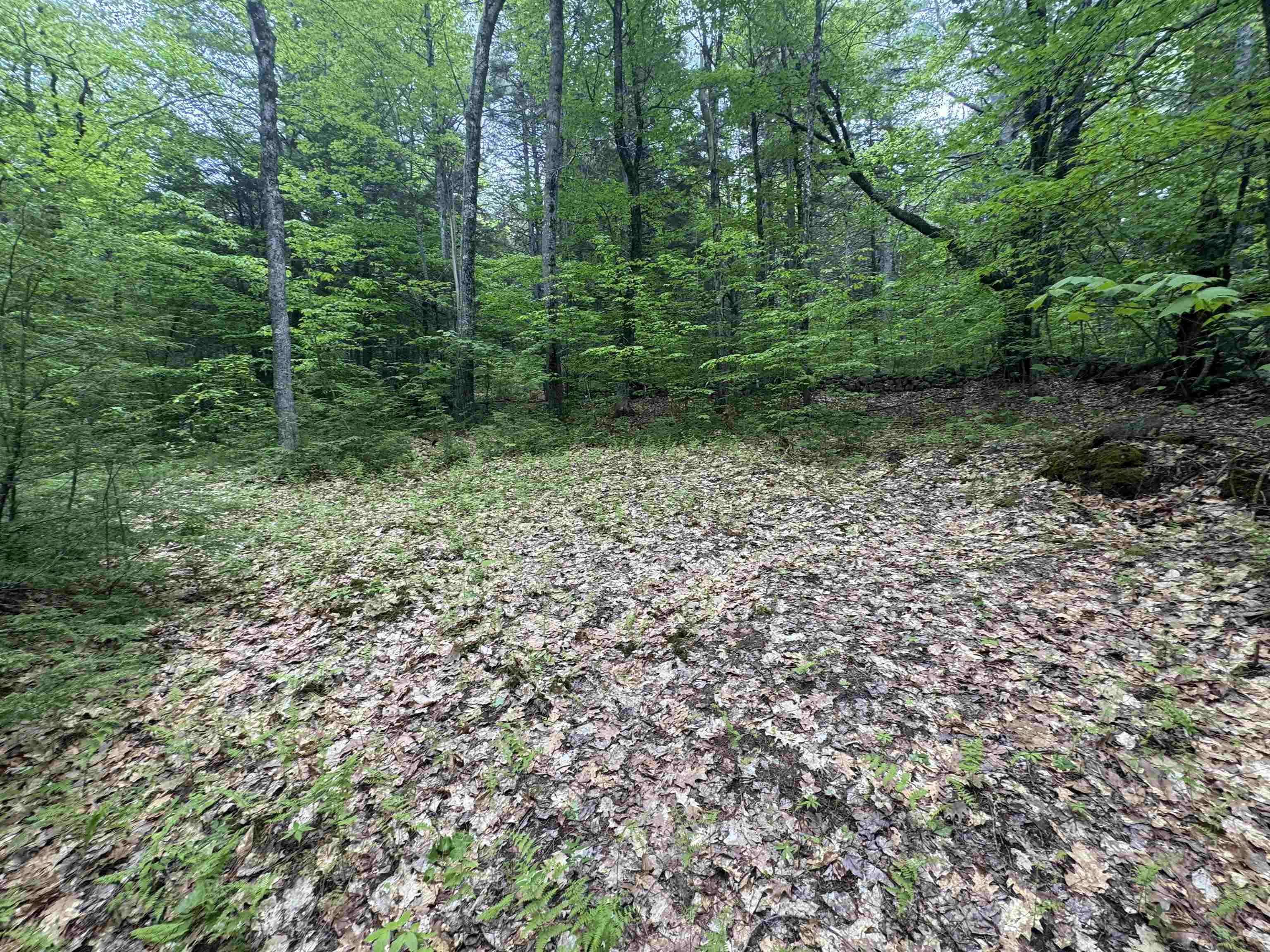 Lot 13 Beach Pond Road Property Photo 3