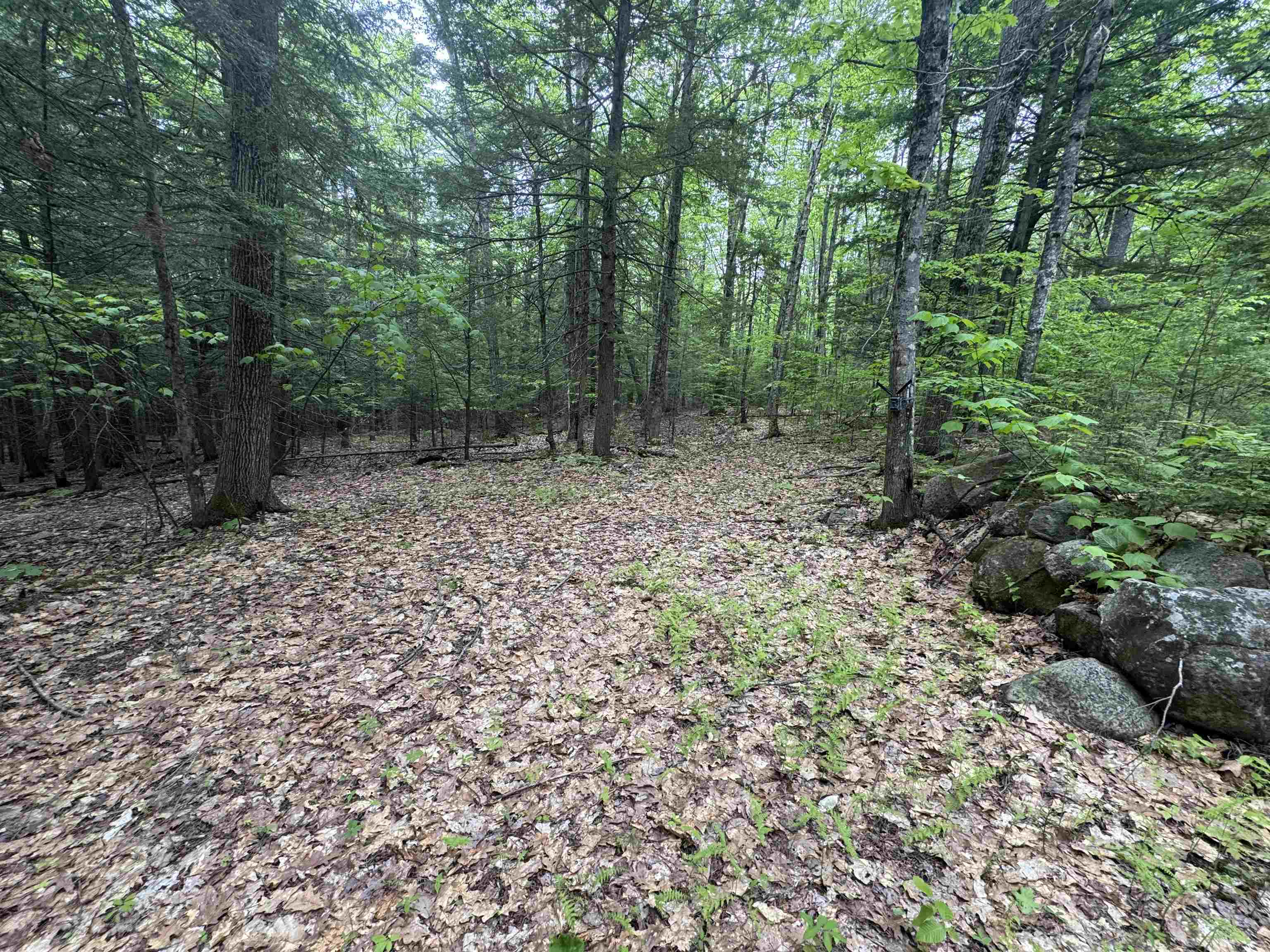 Lot 13 Beach Pond Road Property Photo 4