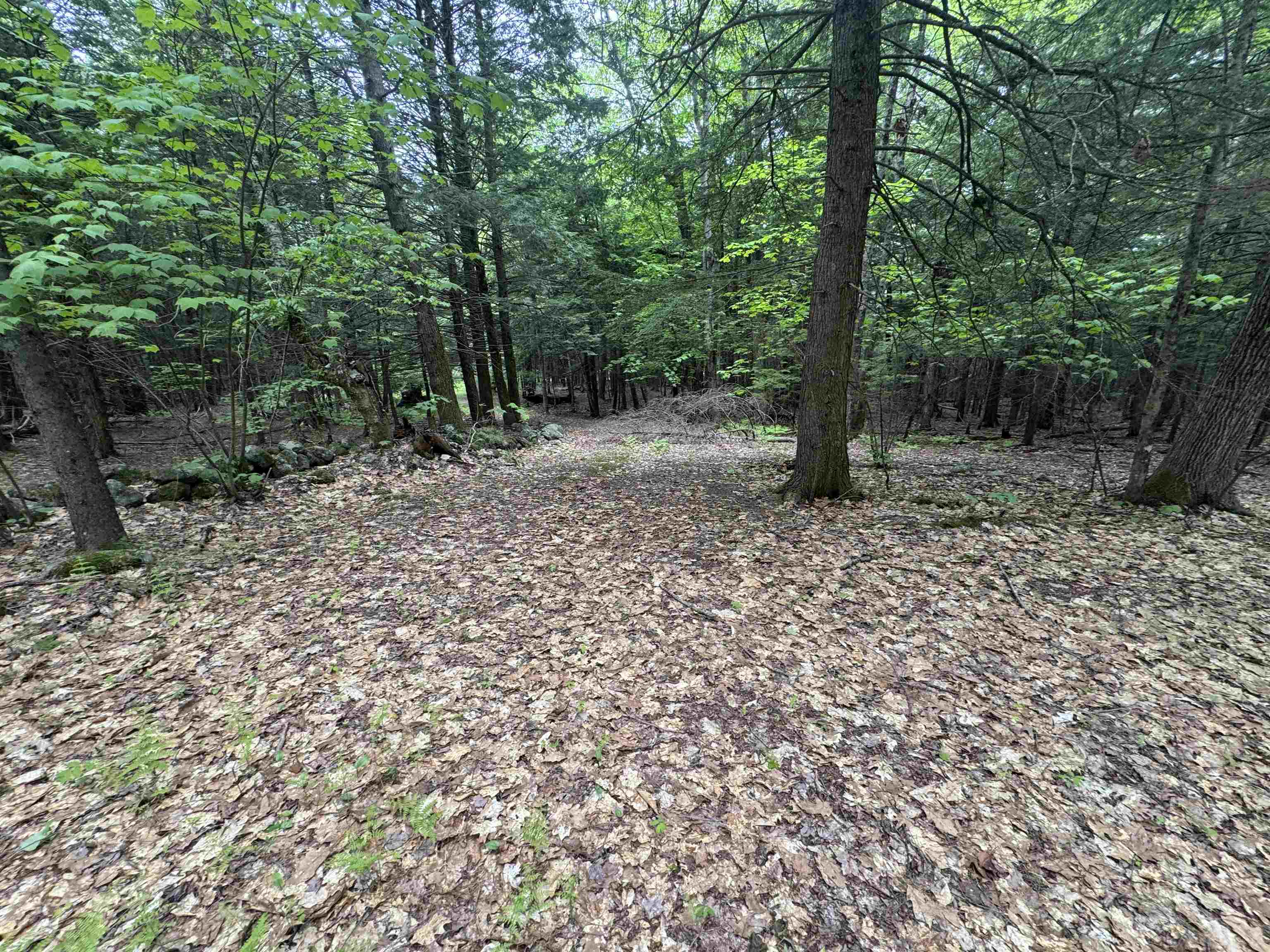 Lot 13 Beach Pond Road Property Photo 8