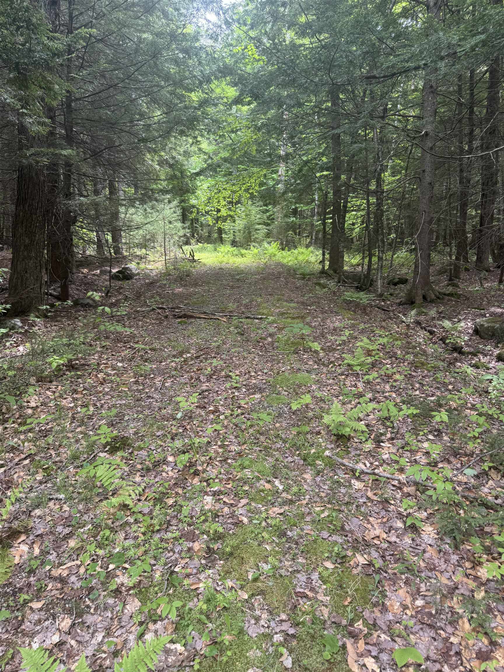 Lot 13 Beach Pond Road Property Photo 11