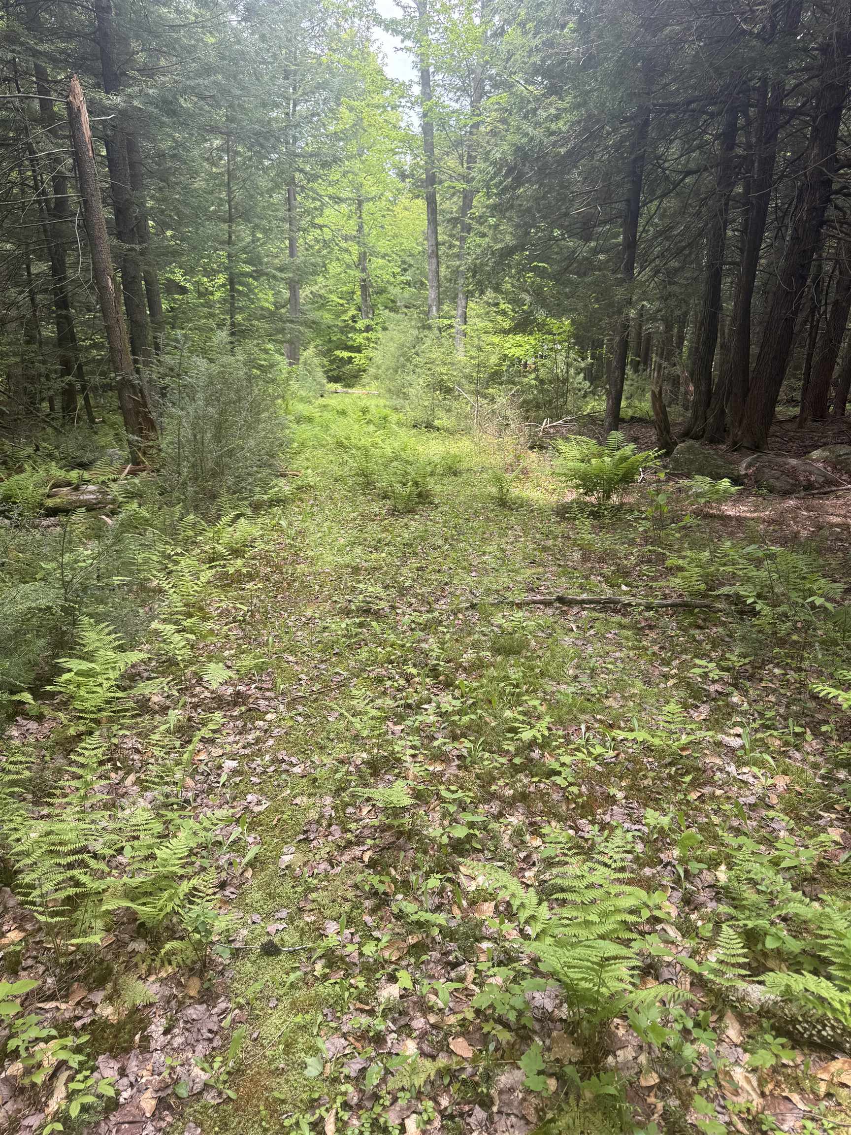Lot 13 Beach Pond Road Property Photo 12